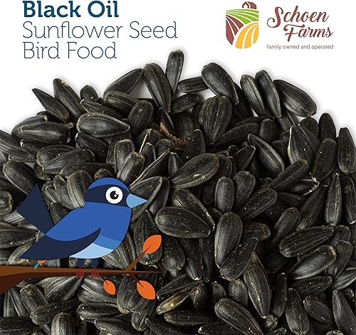 Miniatura 4 de Schoen Farms Semillas de girasol de aceite negro para pájaros (6 libras)
