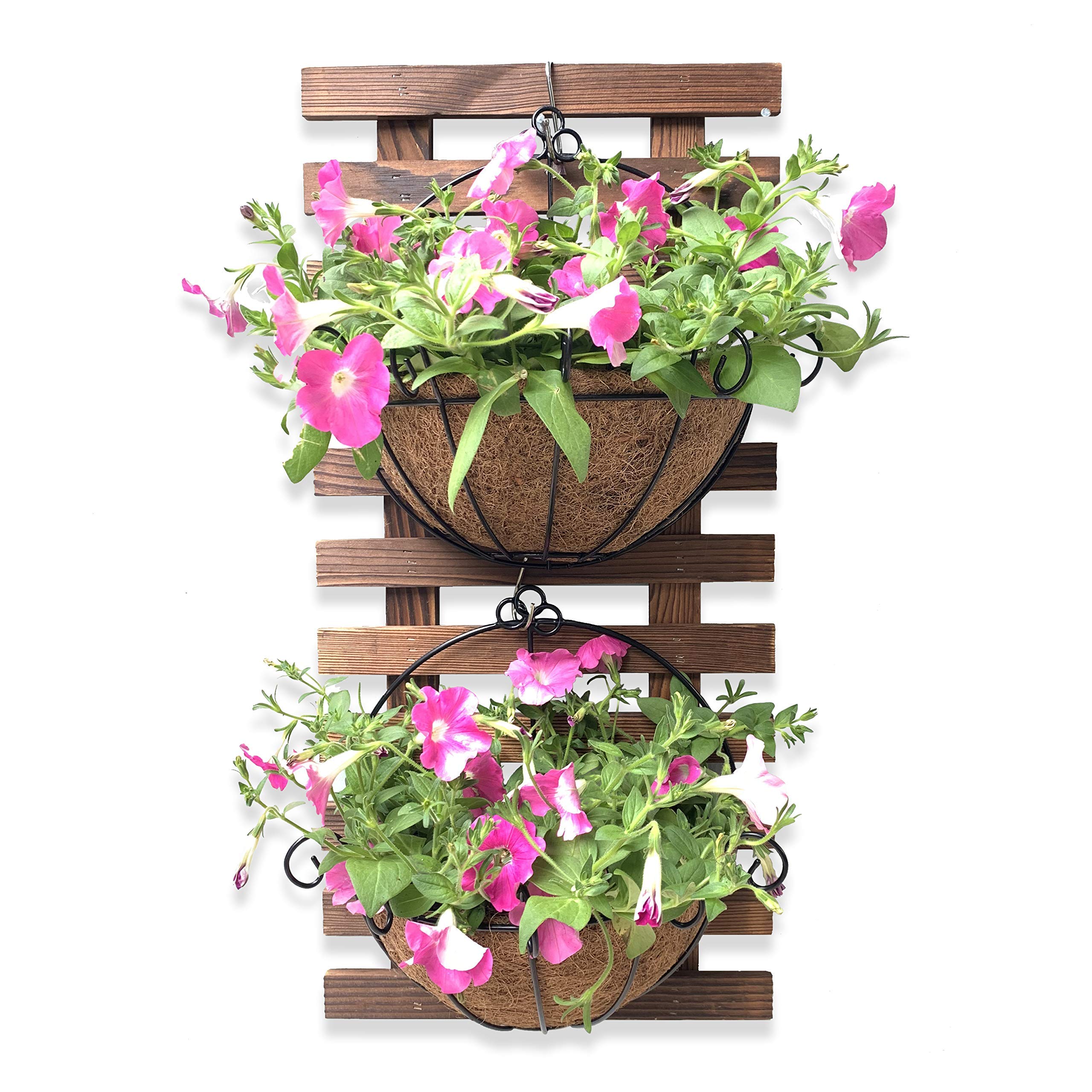 Wall Hanging Planter 10 Inch, 2 Pack Hanging Baskets for Plants, Wall
