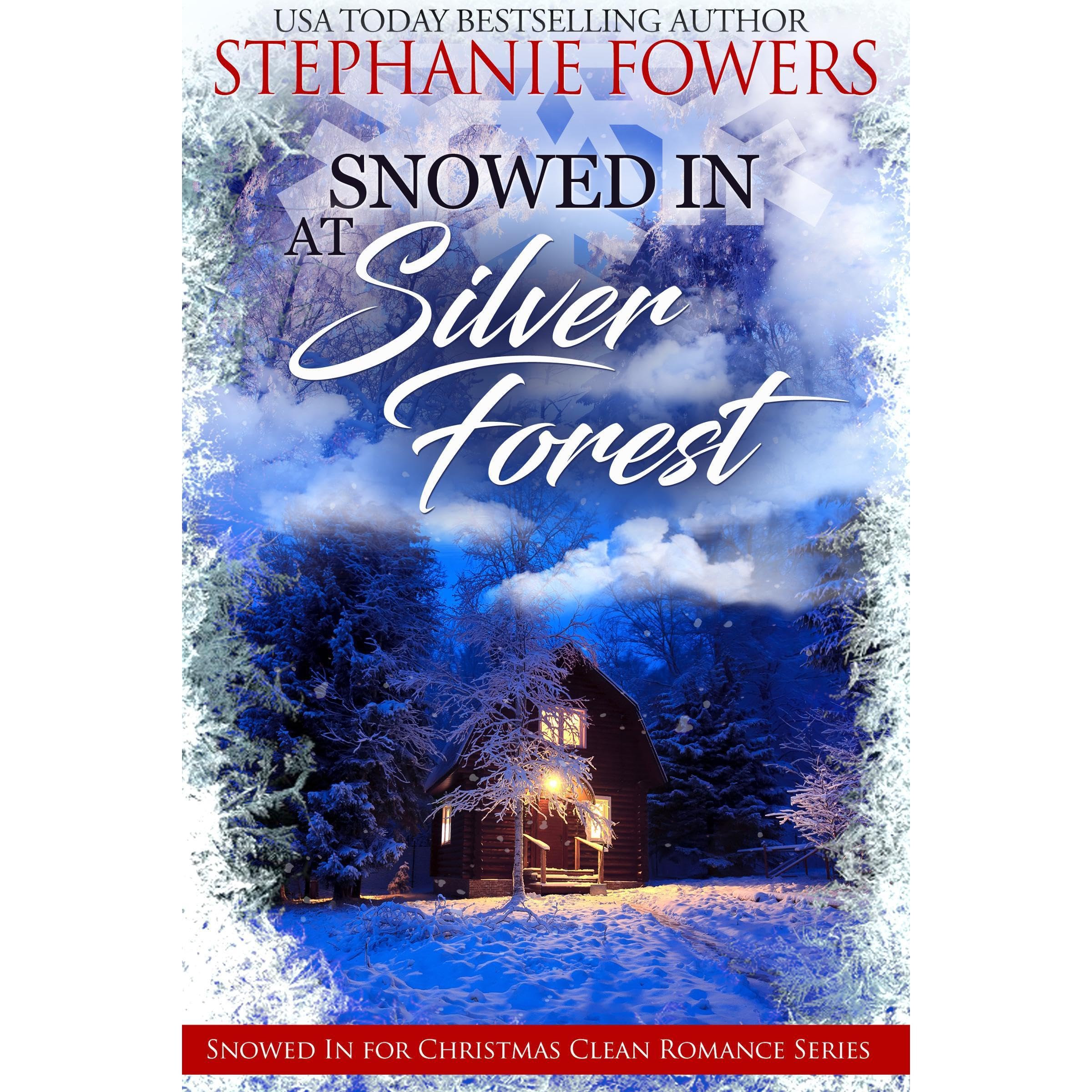 Snowed in at Silver Forest