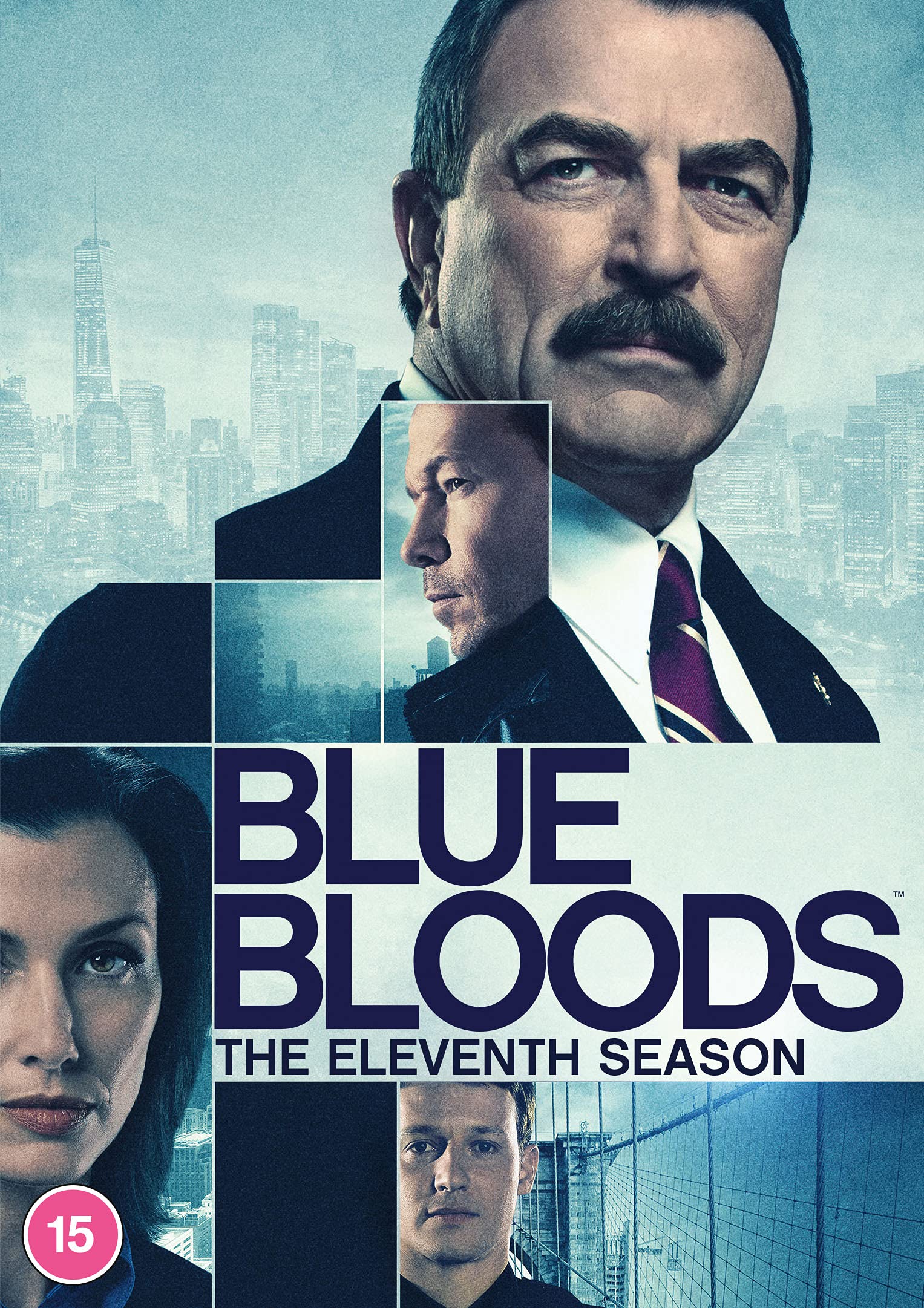 Blue Bloods: Season 11 [15] DVD Box Set