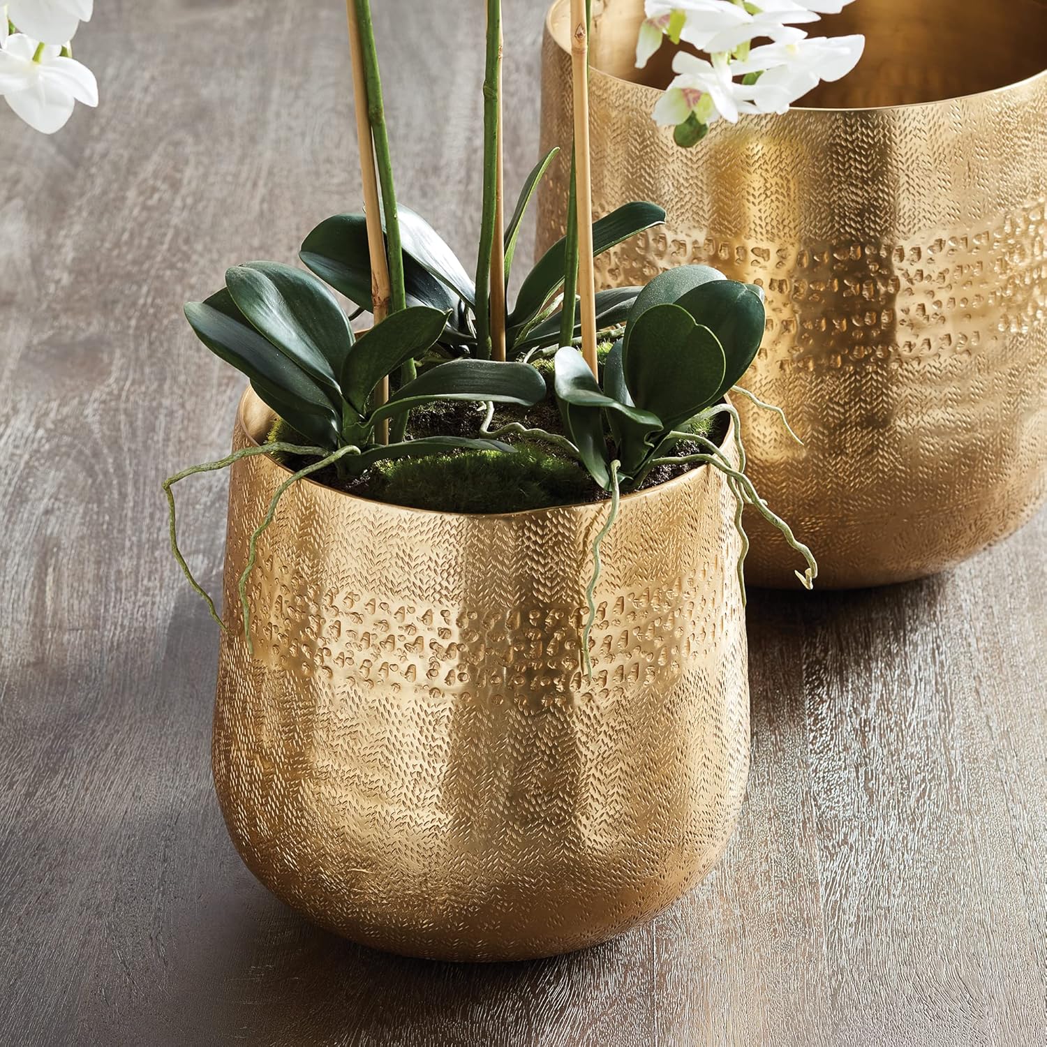 MY SWANKY HOME Elegant Classic Embossed Metal Gold Cachepot Planter Hammered Textured Round 8.25 in Indoor