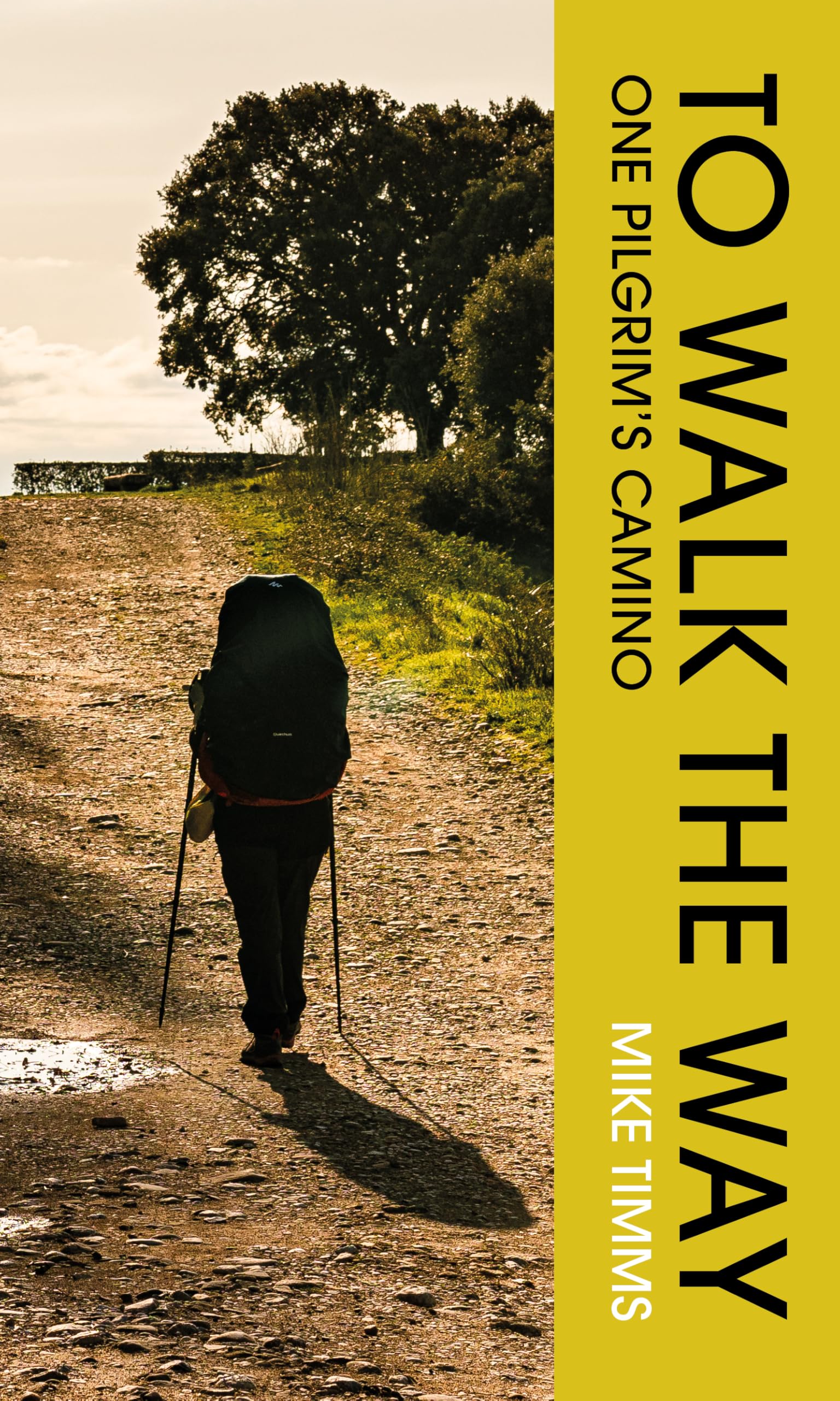 TO WALK THE WAY: ONE PILGRIM'S CAMINO