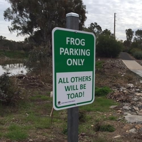 Clare Lions Green Team - //medicalbooks.filipinodoctors.org