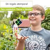 Ver la foto 5
