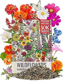 Seed Needs Wildflower Seeds Butterfly and Hummingbird Seed Mix 2 Ounce No Filler | 23 Varieties Annual & Perennial Species Such as Butterfly Milkweed, Cosmos & Zinnia | Resealable Bulk Package
