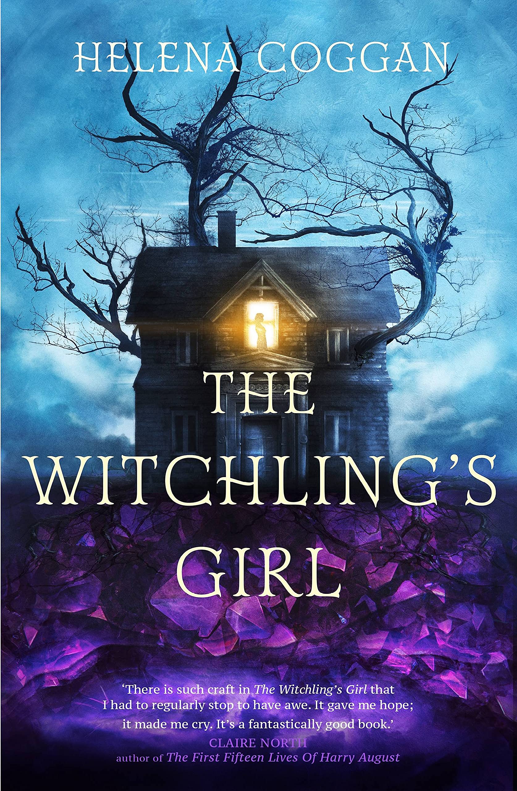 The Witchlings Girl by Helena Coggan PAPERBACK 9781473629455