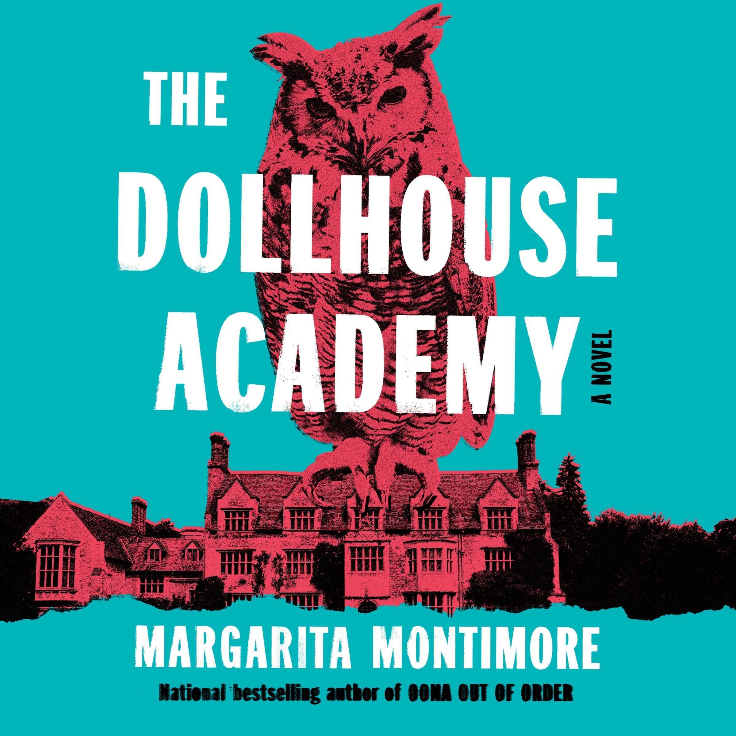 Cover art for The Dollhouse Academy
