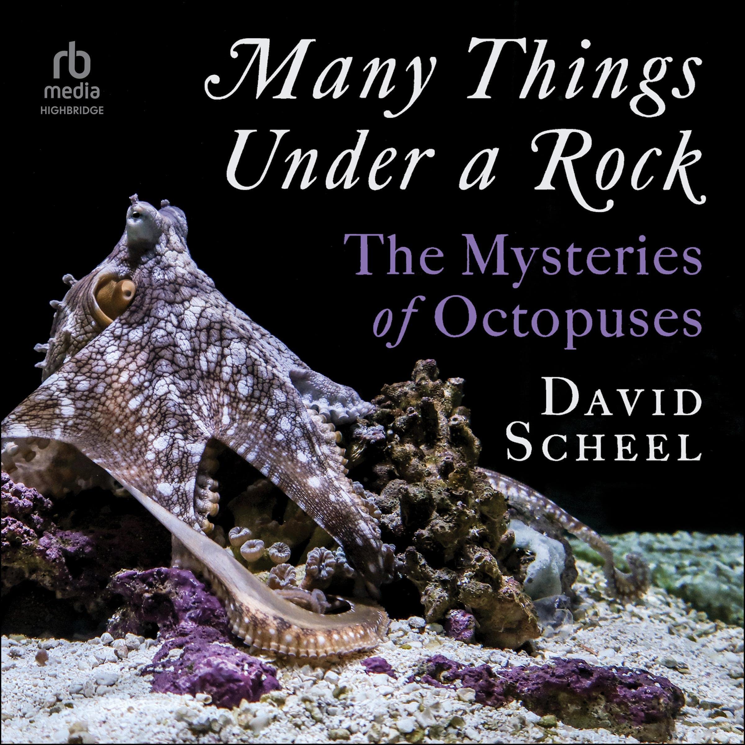 Cover art for Many Things Under a Rock