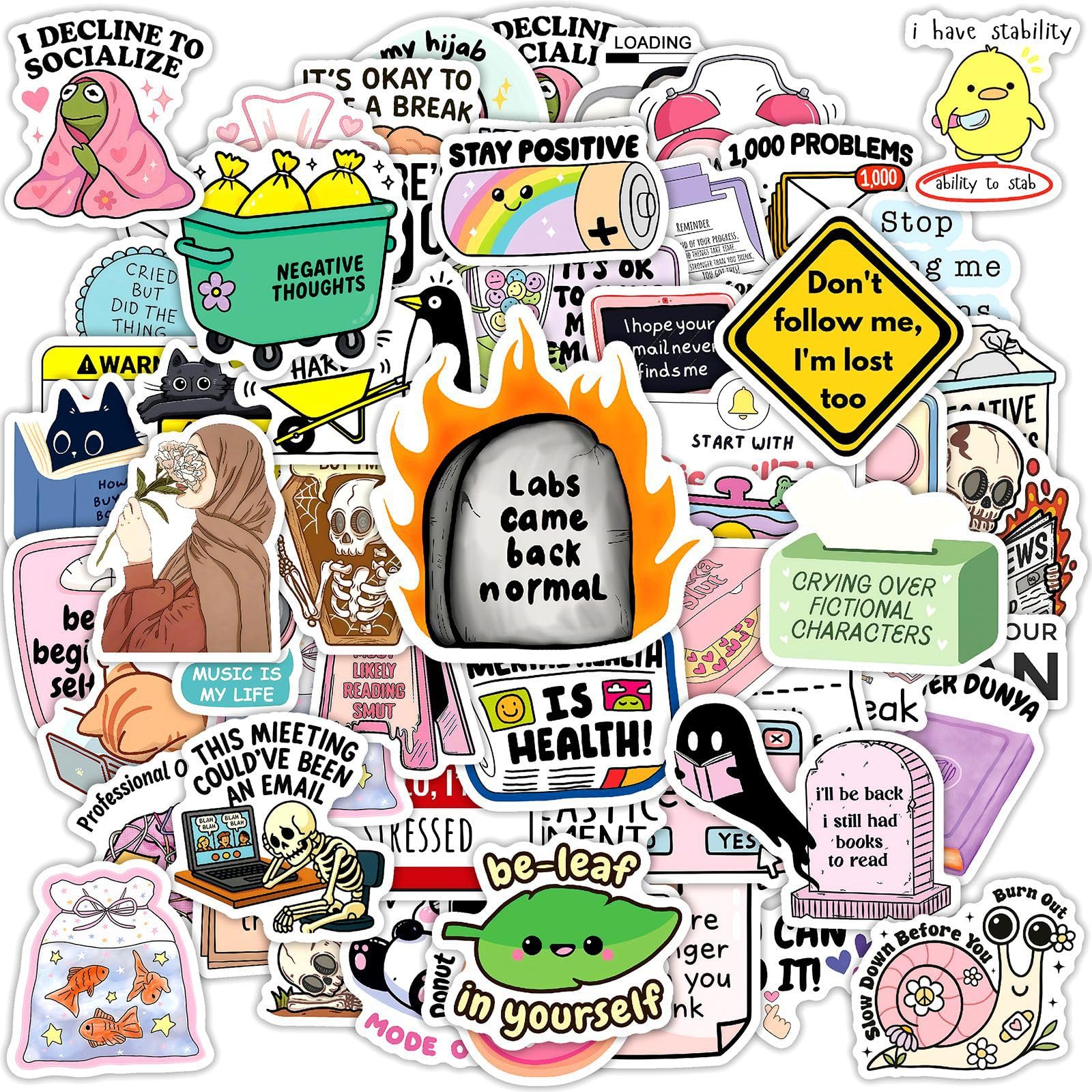 50 Pcs Funny Meme Vinyl Decals Cat Sarcasm Text Stickers for Notebook Bag