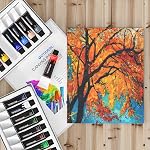 GOTIDEAL Acrylic Paint Set, 24 Colors/Tubes(23ml, 0.77 oz) Non Toxic Non Fading,Rich Pigments for Artist, Hobby Painters, Ideal for Canvas Wood Clay Fabric Ceramic Craft Supplies