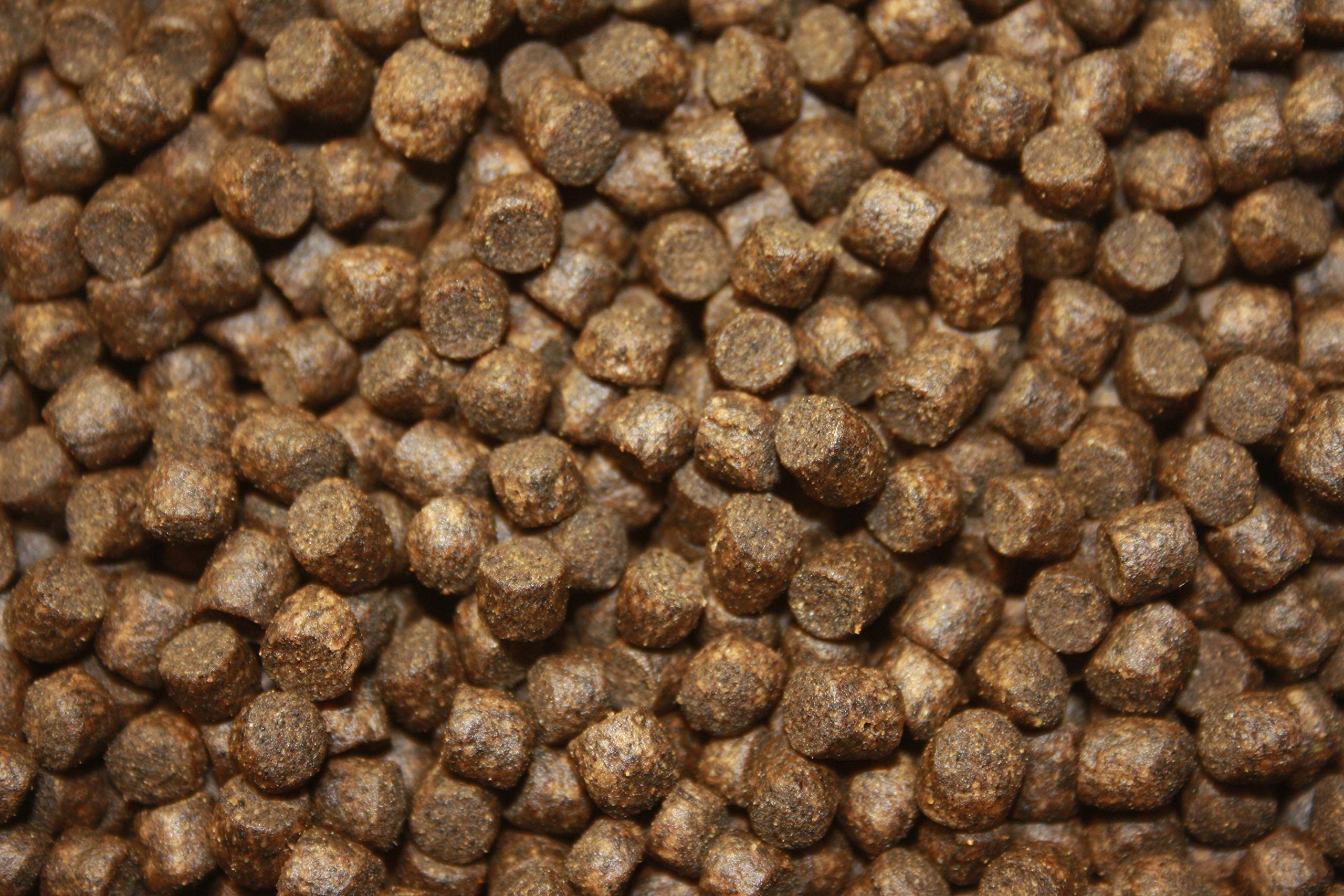 Koifutter für den Herbst, Tomodachi Herbstfutter für Koi, langsam sinkend und energiereich, 10kg