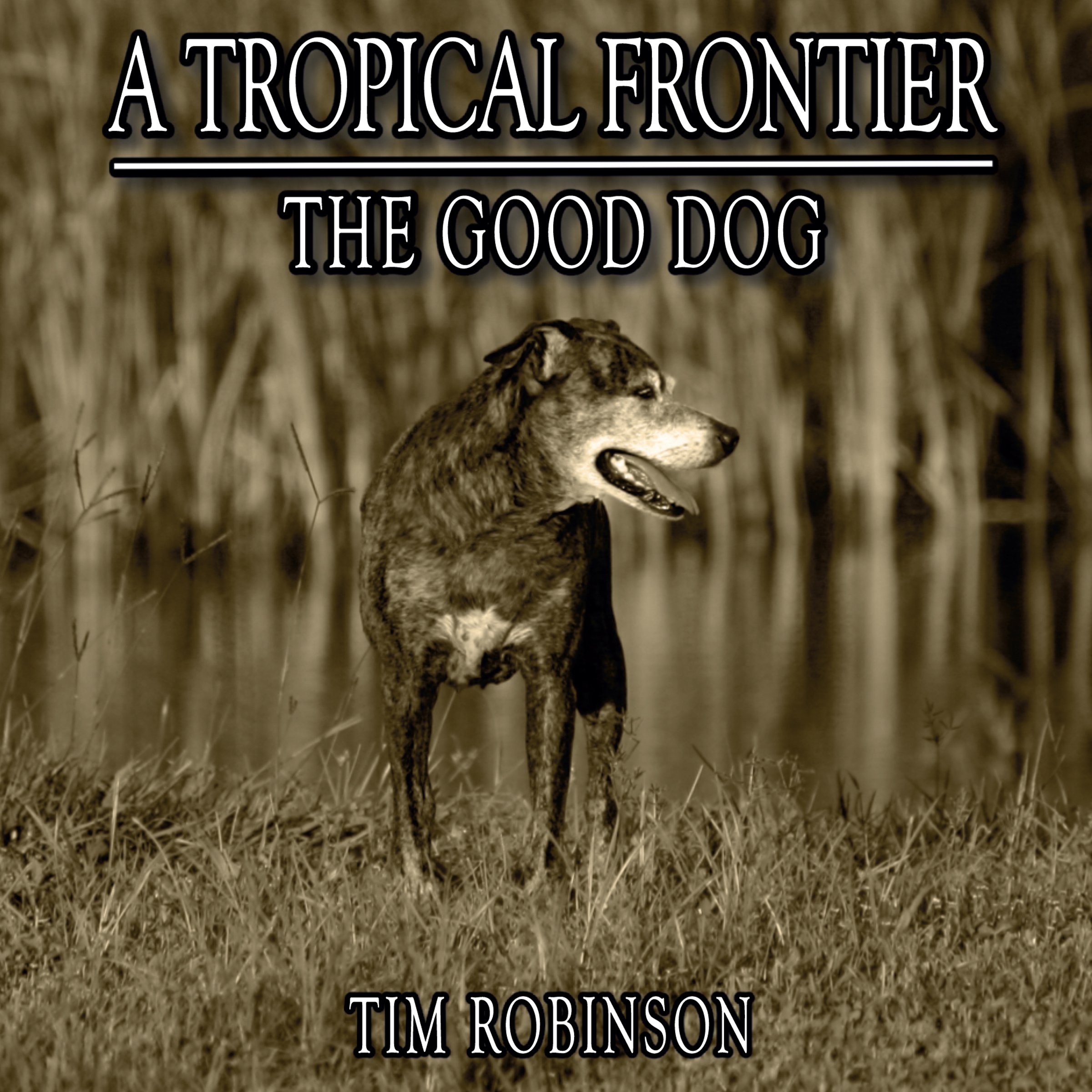Cover art for The Good Dog