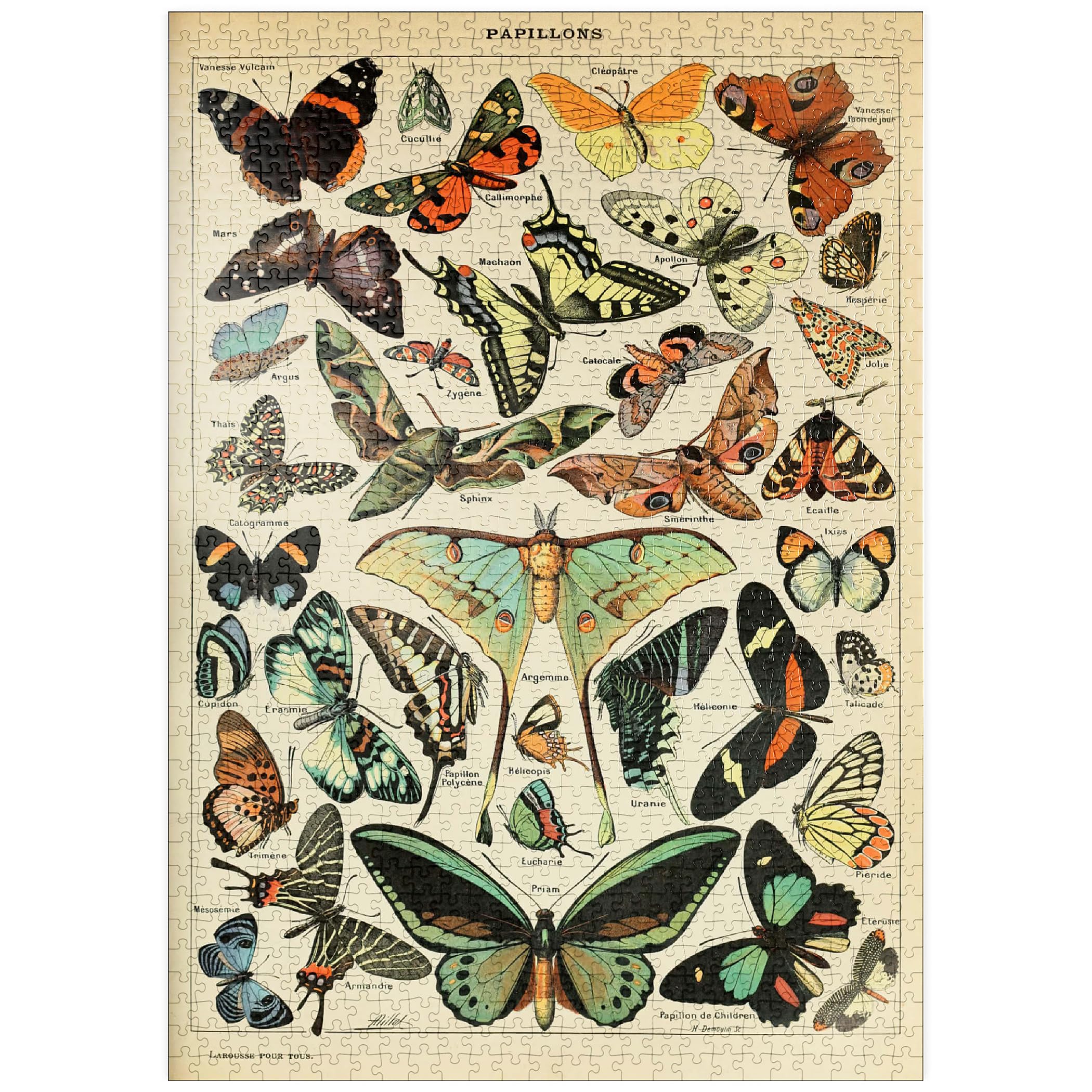 Papillons, Butterflies for All Vintage Art Poster, Adolphe Millot, Premium 1000 pieces Puzzle
