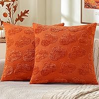 Vista 47 de decorUhome Juego de 2 fundas de almohada de felpilla suave de otoño de 18 x 18 pulgadas, fundas de almohada decorativas de terciopelo neutro