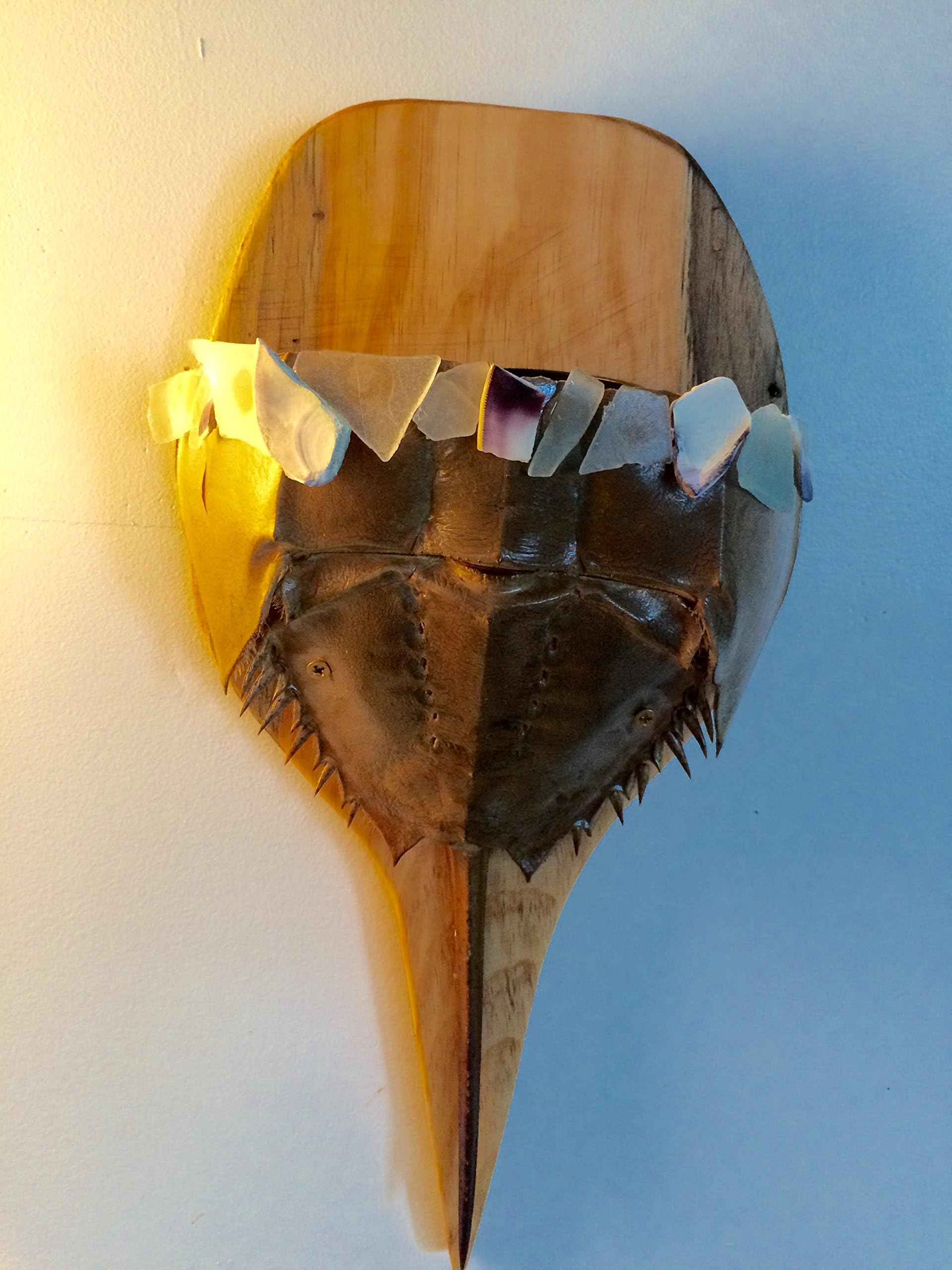 Atlantic Horseshoe Crab Planter with Reclaimed Wood from 1850's Provincetown Cape Cod Captain's House Sea Glass and Clam Shell Wampum 19 Inches Long