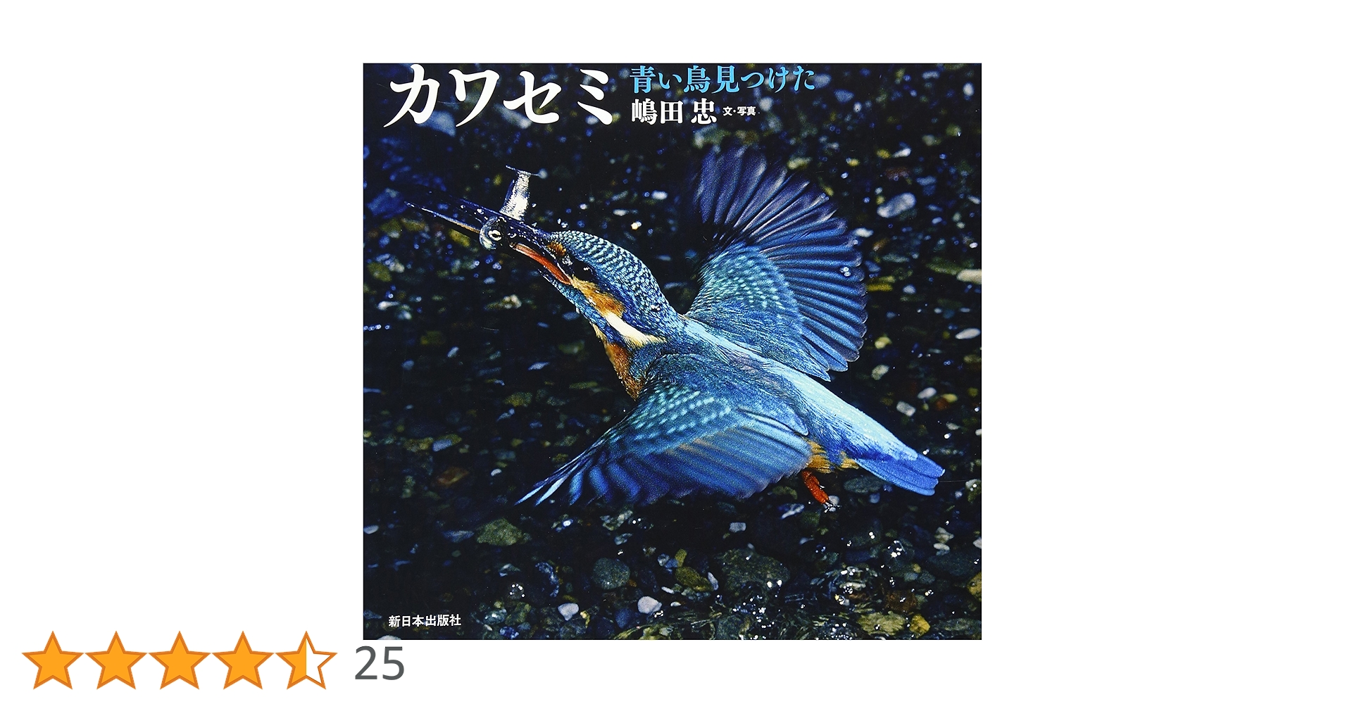 魚を見つめてたたずむ青い水鳥・かわせみ 大阪府和泉市Aのマンホールカード(初版) マンホールカード／和泉市