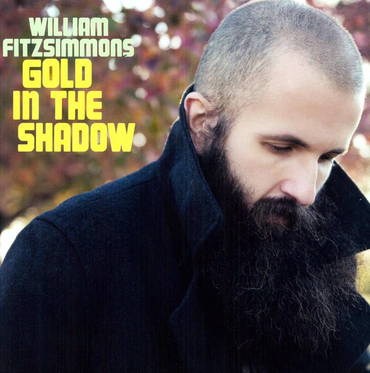 Gold In The Shadow [Disco de Vinil] por Artista não identificado — capa do álbum