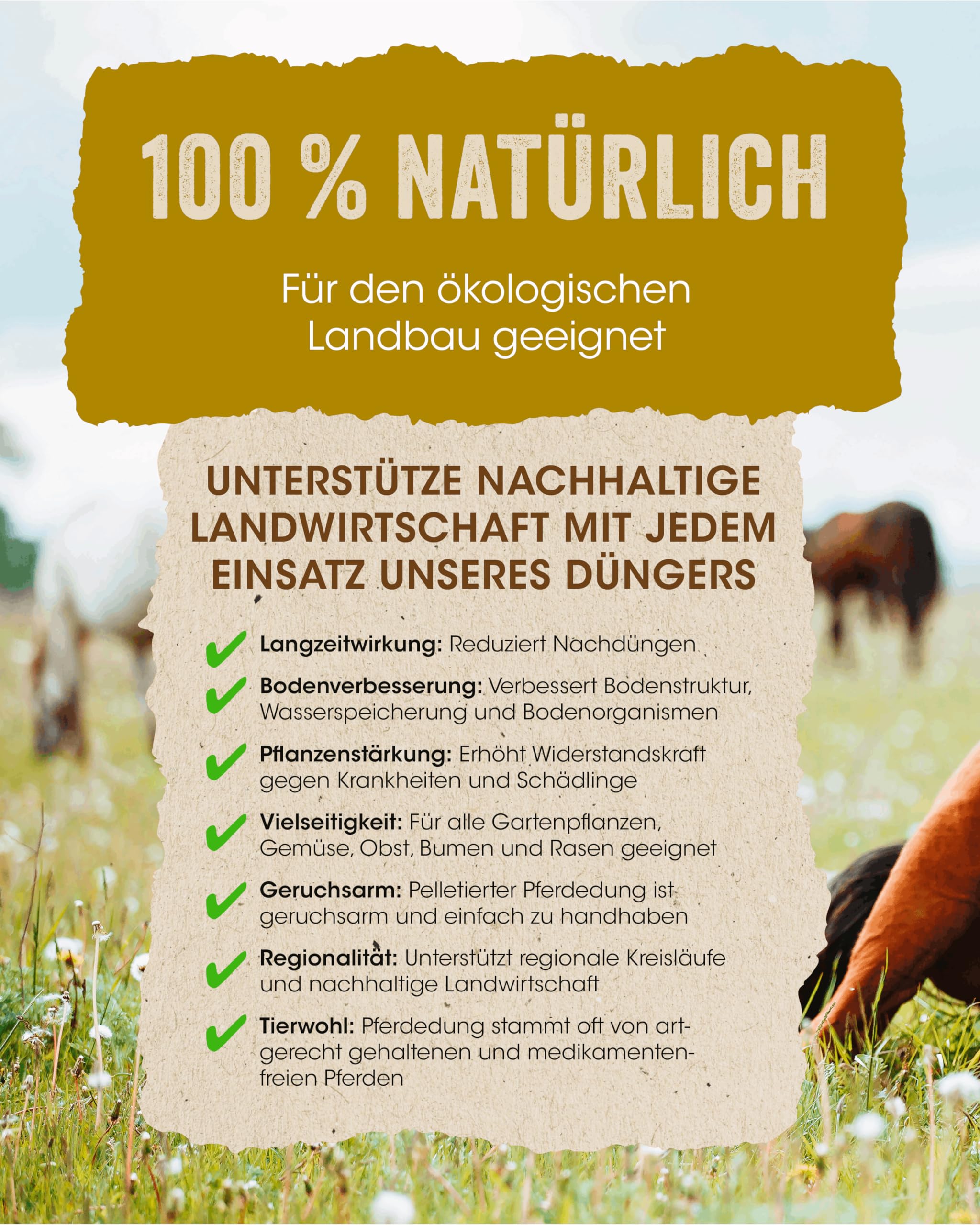Allflor Pferdedung gekörnt 4 x 5 Kg in Faltschachtel I Pferdemist als Dünger I rein biologisch-organischer Universaldünger I Pferdedünger I Für alle Garten-, Obst- & Gemüsepflanzen
