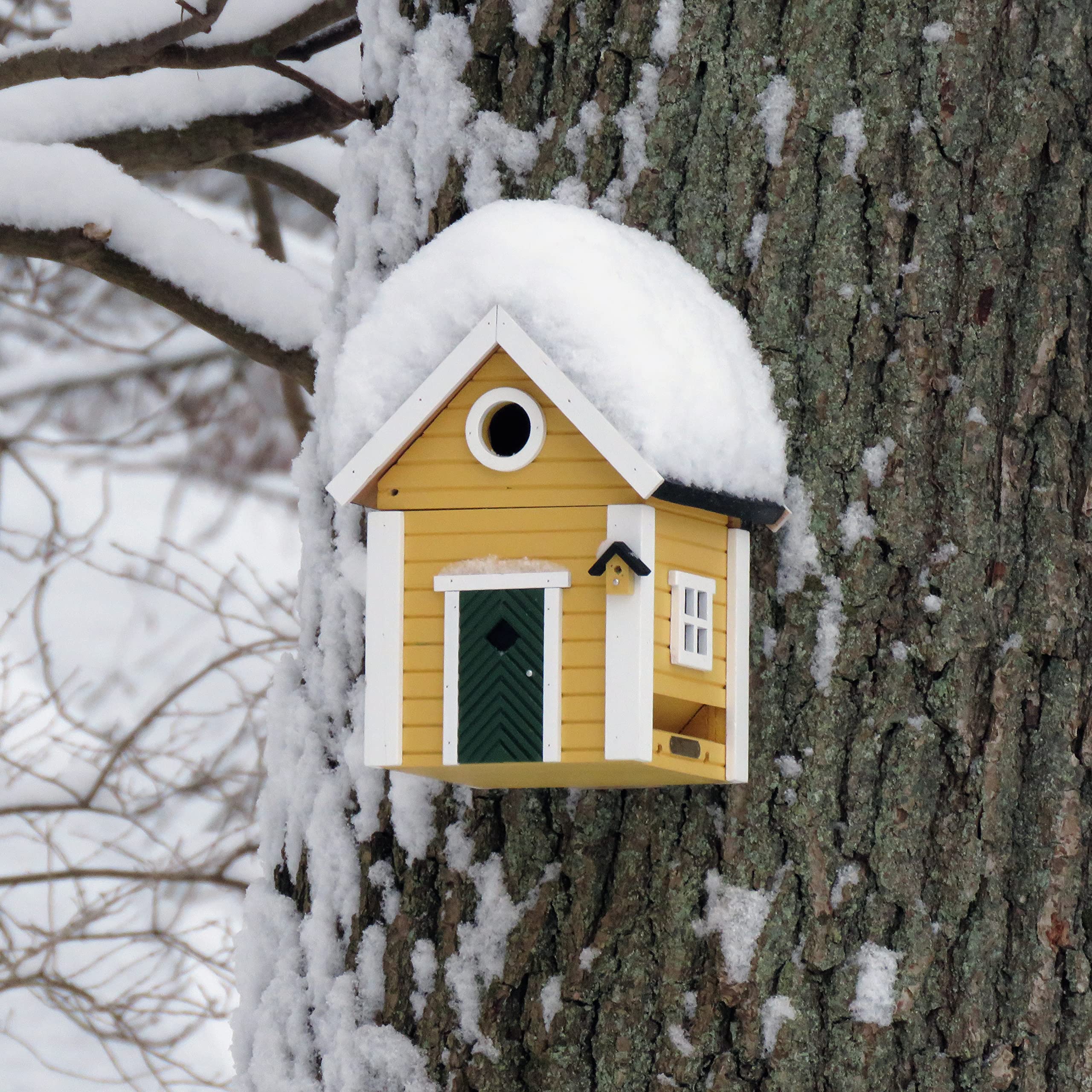 Wildlife Garden WG104 Multiholk Villa - Der Kombinierte Vogelfutterhaus und Nistkasten/Vogelhaus aus Holz
