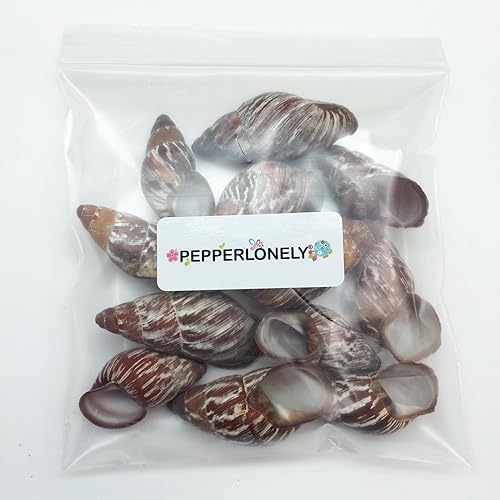 Miniatura 3 de PEPPERLONELY 12 caracoles de tierra de hadas, conchas marinas, 1-12 pulgadas  2-12 pulgadas