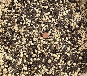 Generic 2.5 Quarts Premium Mixed Acid Loving Plants, Azalea Bonsai Soil with Japanese Kanuma, Mycorrhizae & Oak Leaf Mold - Medium Grain, AZAM2.5Q