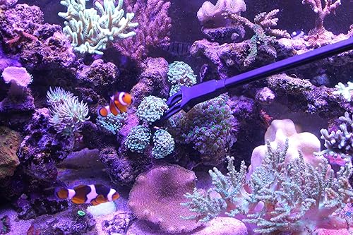 Miniatura 7 de Pinzas para acuario de 27 pulgadas (27.6 in), 100% seguras para arrecifes, multiusos para peceras de agua dulce y salada, plantas de clip,