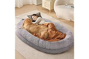 World's Largest Adult Nap Bed of Luxurious Comfort