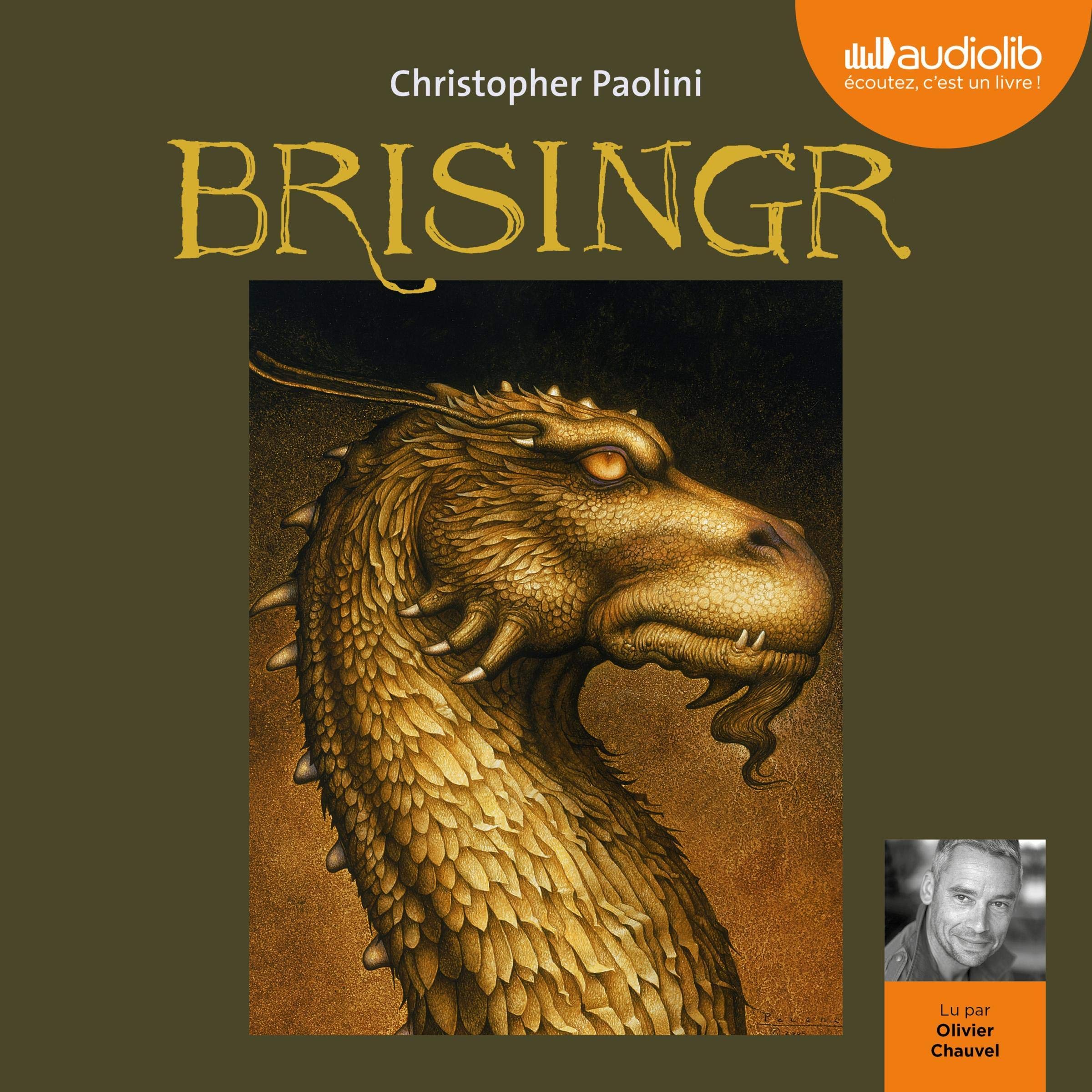 Cover art for Brisingr