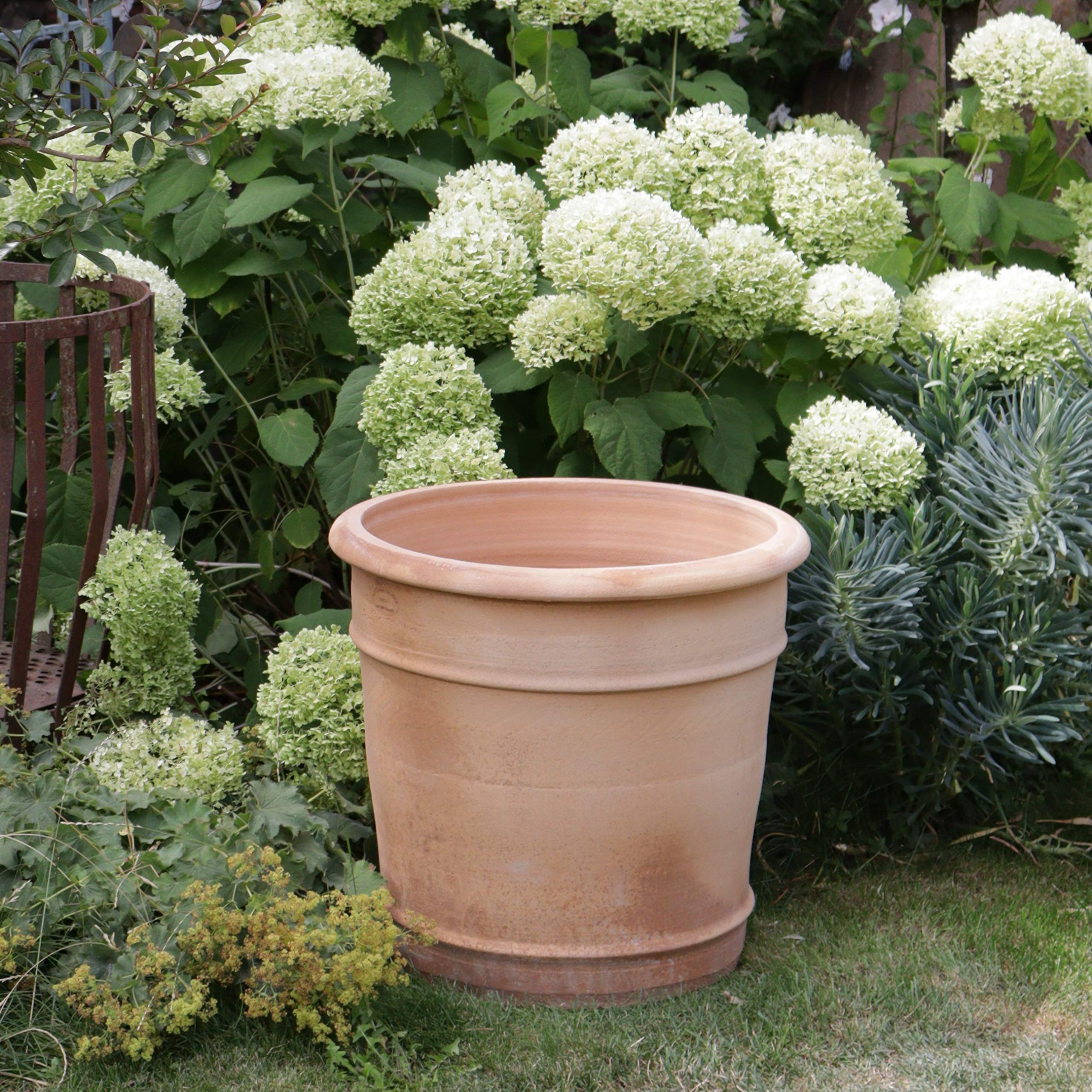 Pflanzkübel Terracotta Winterhart – Die 15 besten Produkte im Vergleich