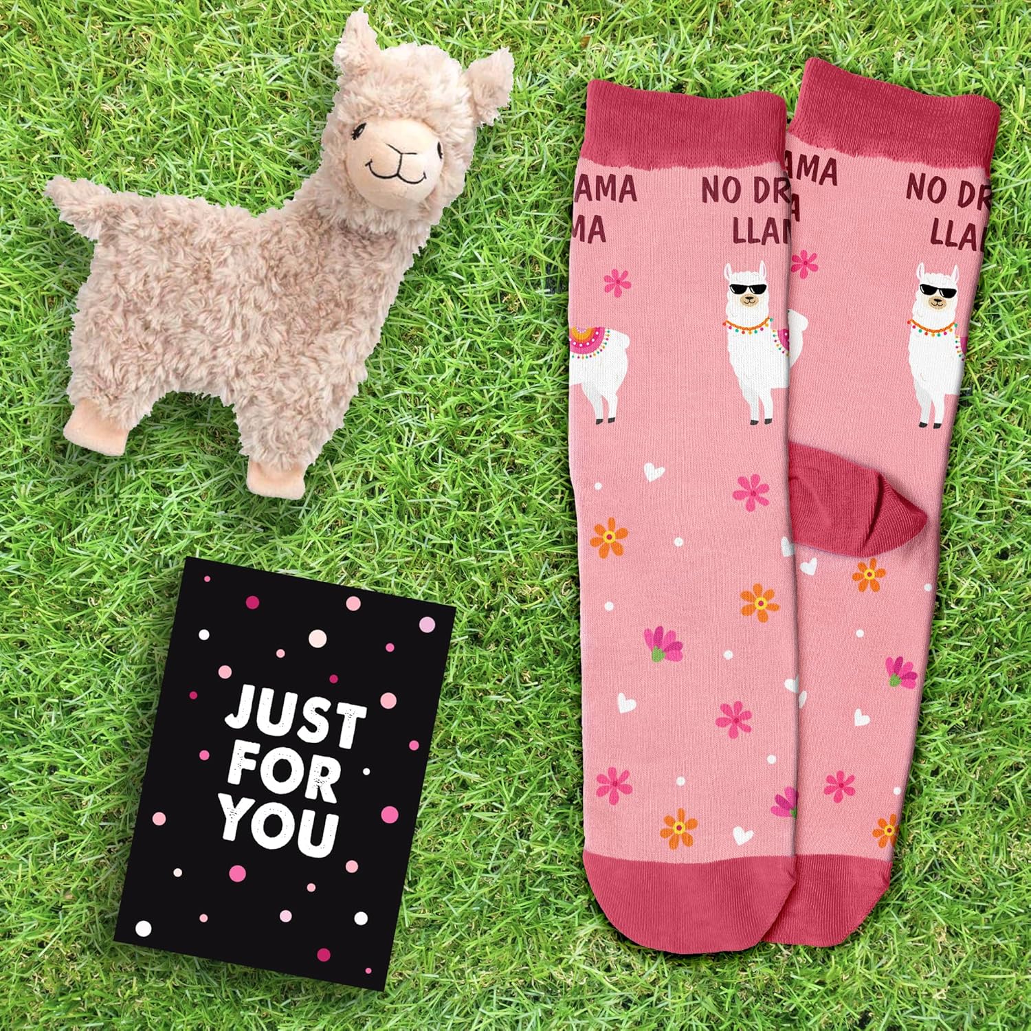 Funny Animal Socks for Women & Men, Novelty Socks – Cute Otter Llama Donkey Goat – Christmas Gifts, Stocking Stuffers