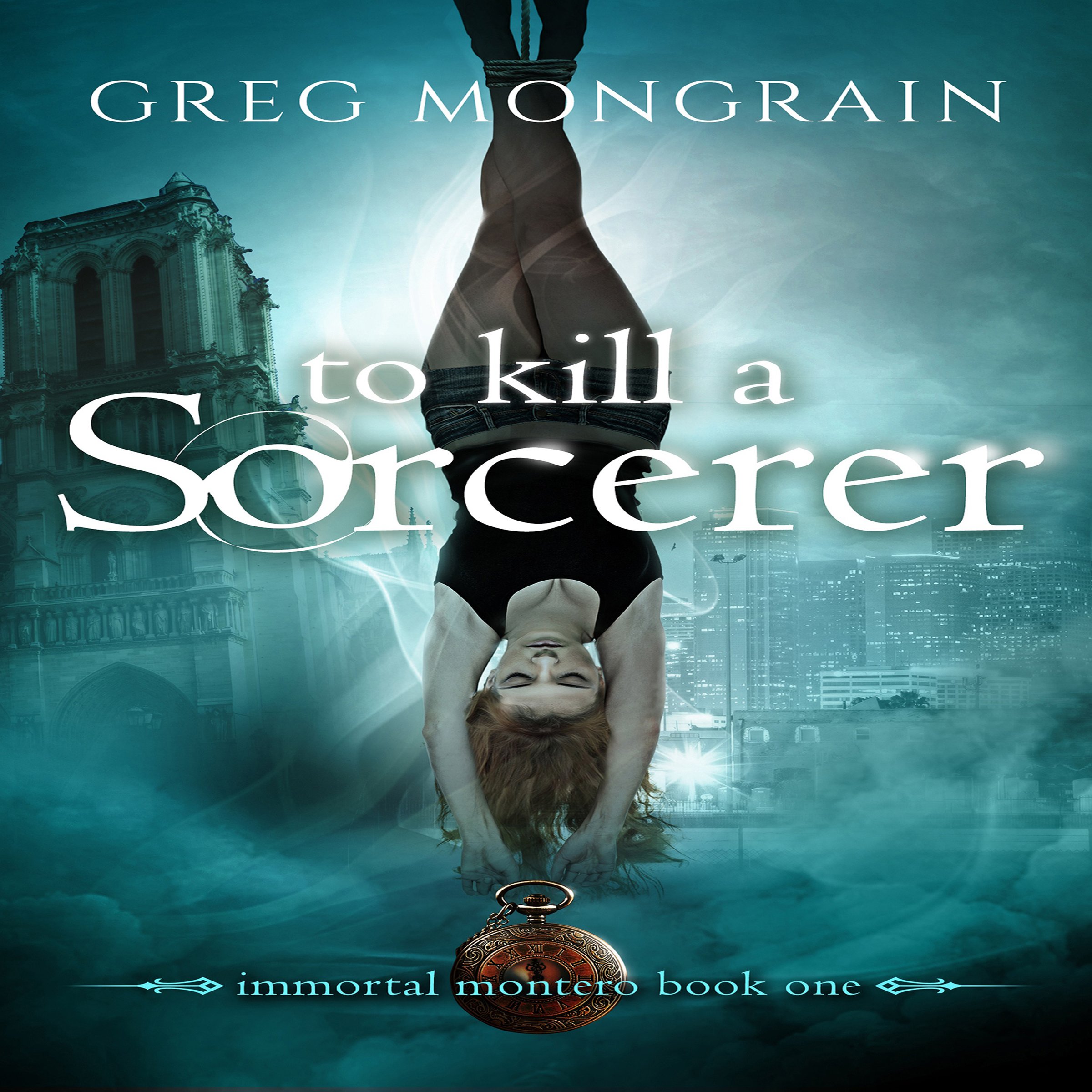 Cover art for To Kill a Sorcerer