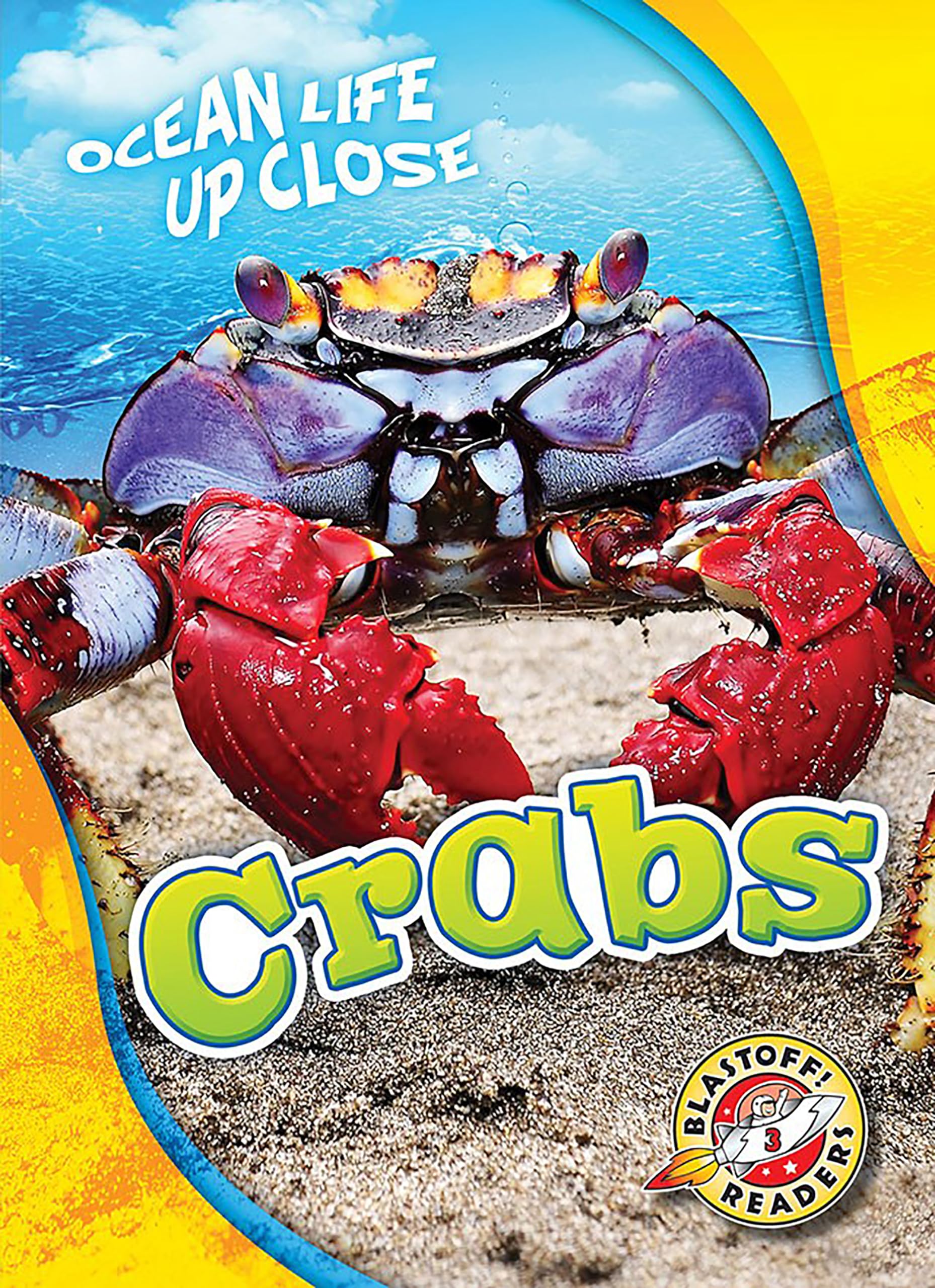 Crabs by Rebecca Pettiford (Hardback Book)