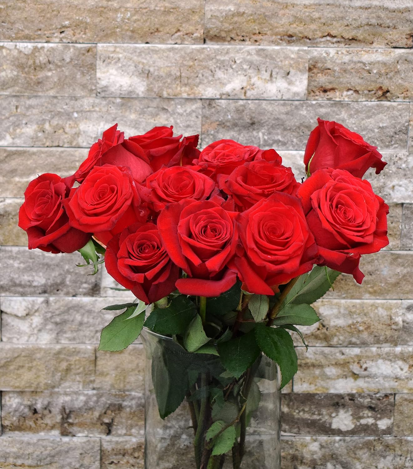Fresh Cut 12 Red Roses - Fresh from the Farm Red Rose Bouquet – Hand-Selected Long-Lasting, Gift and Home Decor Perfect Fresh Flowers |20" Long Stems No Vase- Dozen | Flowers Gift