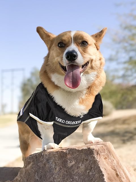 Foto 4 de 7 de Camiseta de la Liga Nacional de Fútbol Americano (NFL) para mascotas