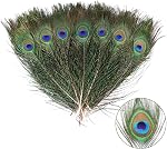 THARAHT 24pcs Peacock Feather Natural in Bulk 10-12 inch 25-30cm For Vase Craft Vase Wedding Home Party Christmas Day Decoration Peacock Feathers
