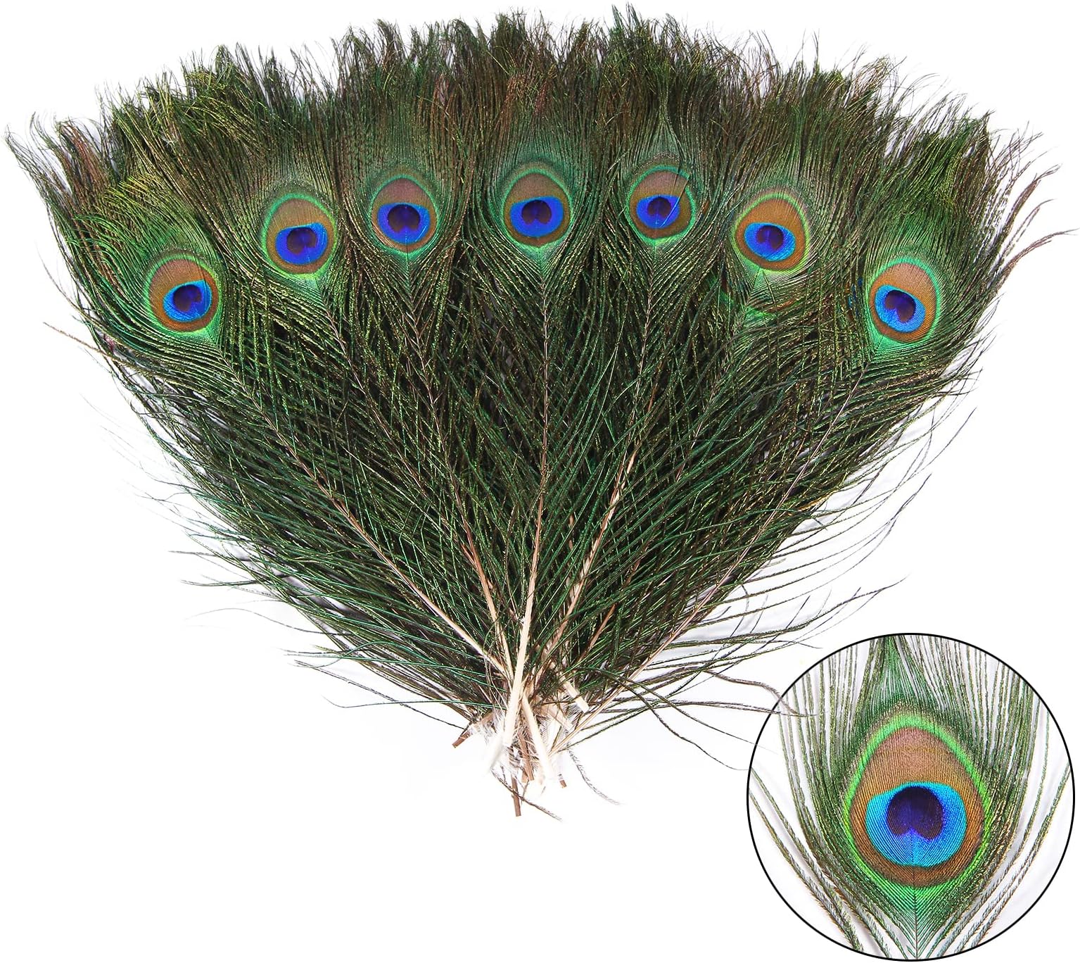 THARAHT 12pcs Peacock Feather Natural in Bulk 10-12 inch 25-30cm Small EyeFor Craft Vase Wedding Home Party Christmas Day Decoration Peacock Feathers