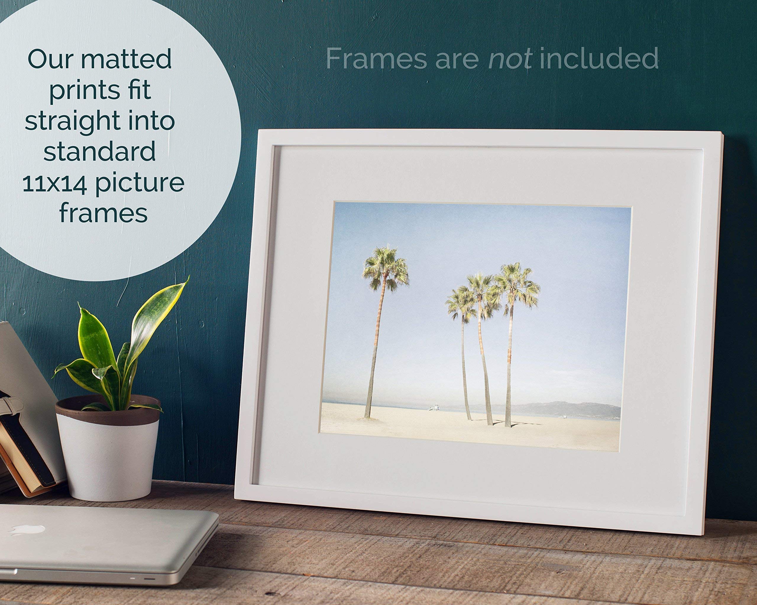 California Wall Art, Venice Beach Palm Tree Art, Santa Monica Coastal Wall Decor, Tropical Beach Picture - 5x7, 8x10 Print (not framed), ‘Boardwalk Palms’