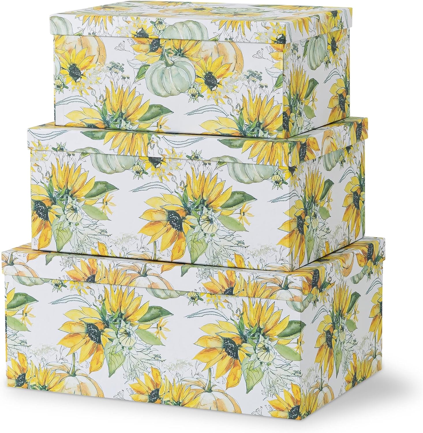 Soul & Lane Decorative Storage Cardboard Boxes with Lids