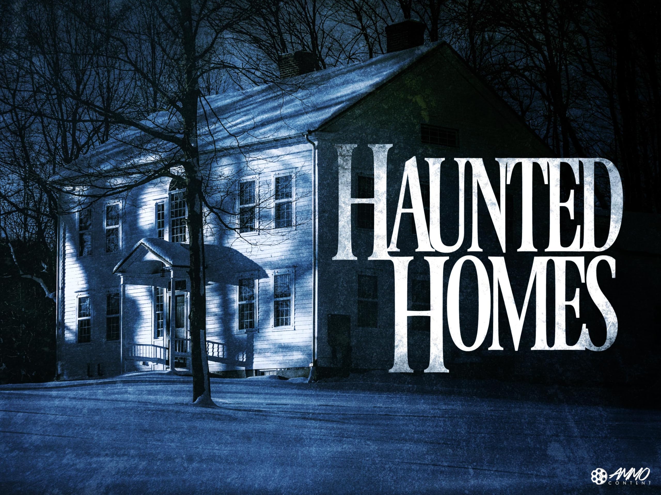 Haunted Homes (TV Series)