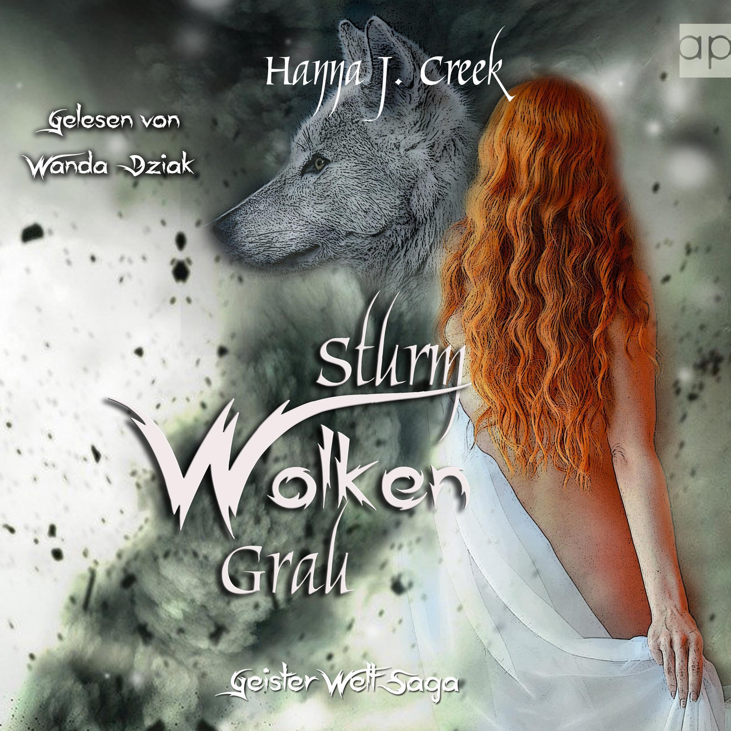 Cover art for Sturmwolkengrau