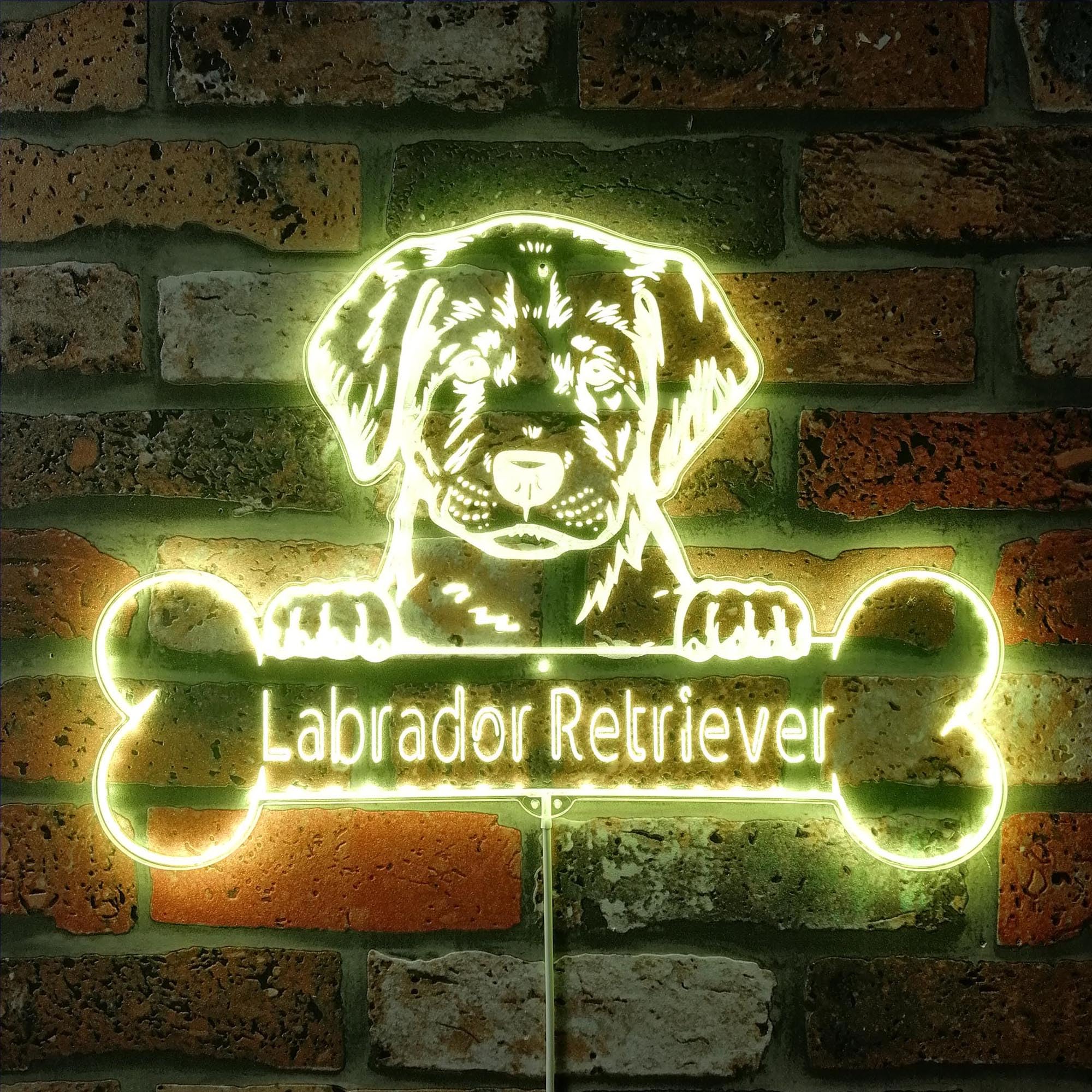 ADVPRO Name Personalize Labrador Retriever Dog RGB Dynamic Glam LED Sign - Cut-to-Edge Shape - Smart 3D Wall Decoration - Multicolor Dynamic Lighting - st06s66-fnd-p0075-tm
