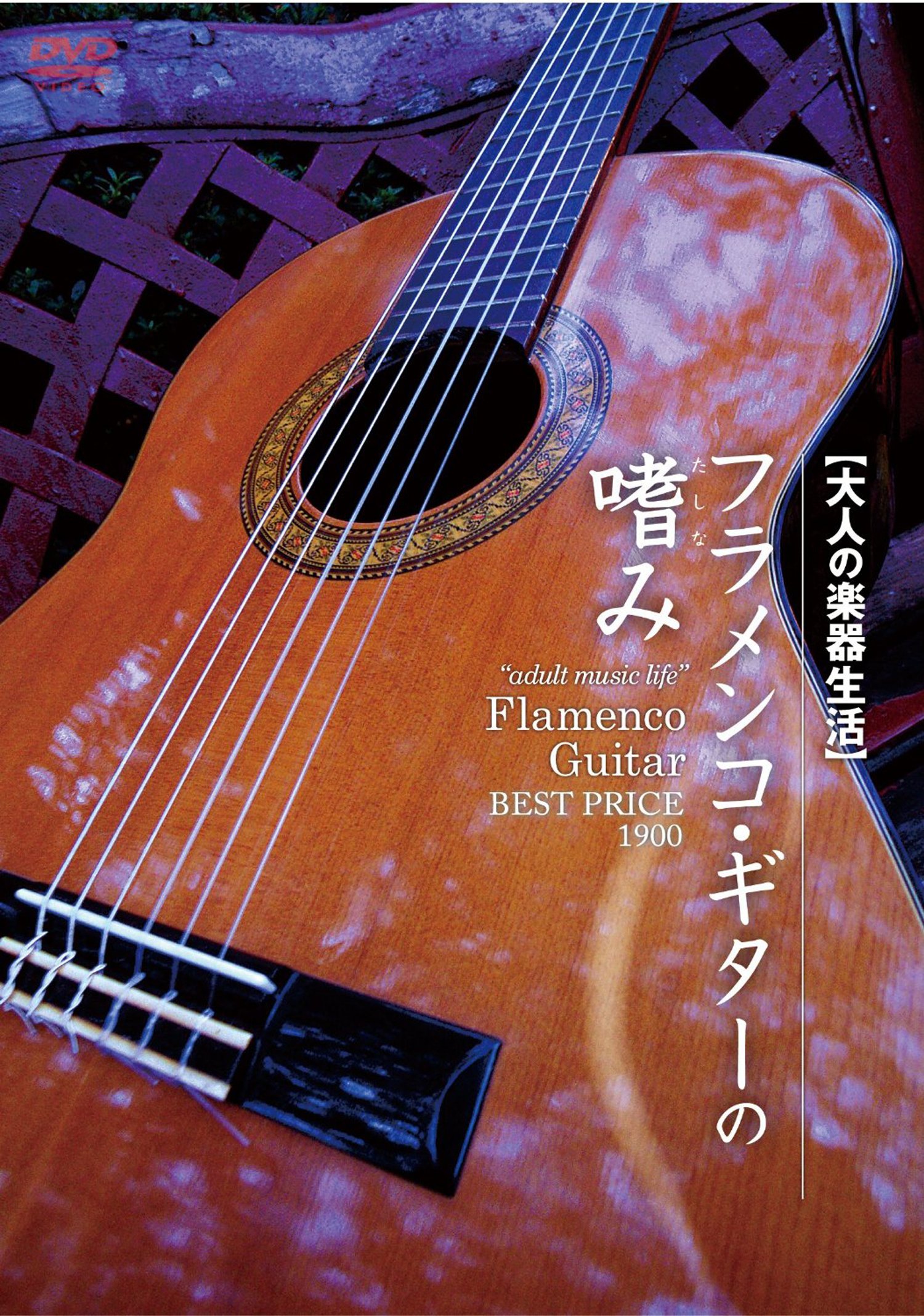 Amazon.com: 大人の楽器生活 フラメンコ・ギターの嗜み BEST