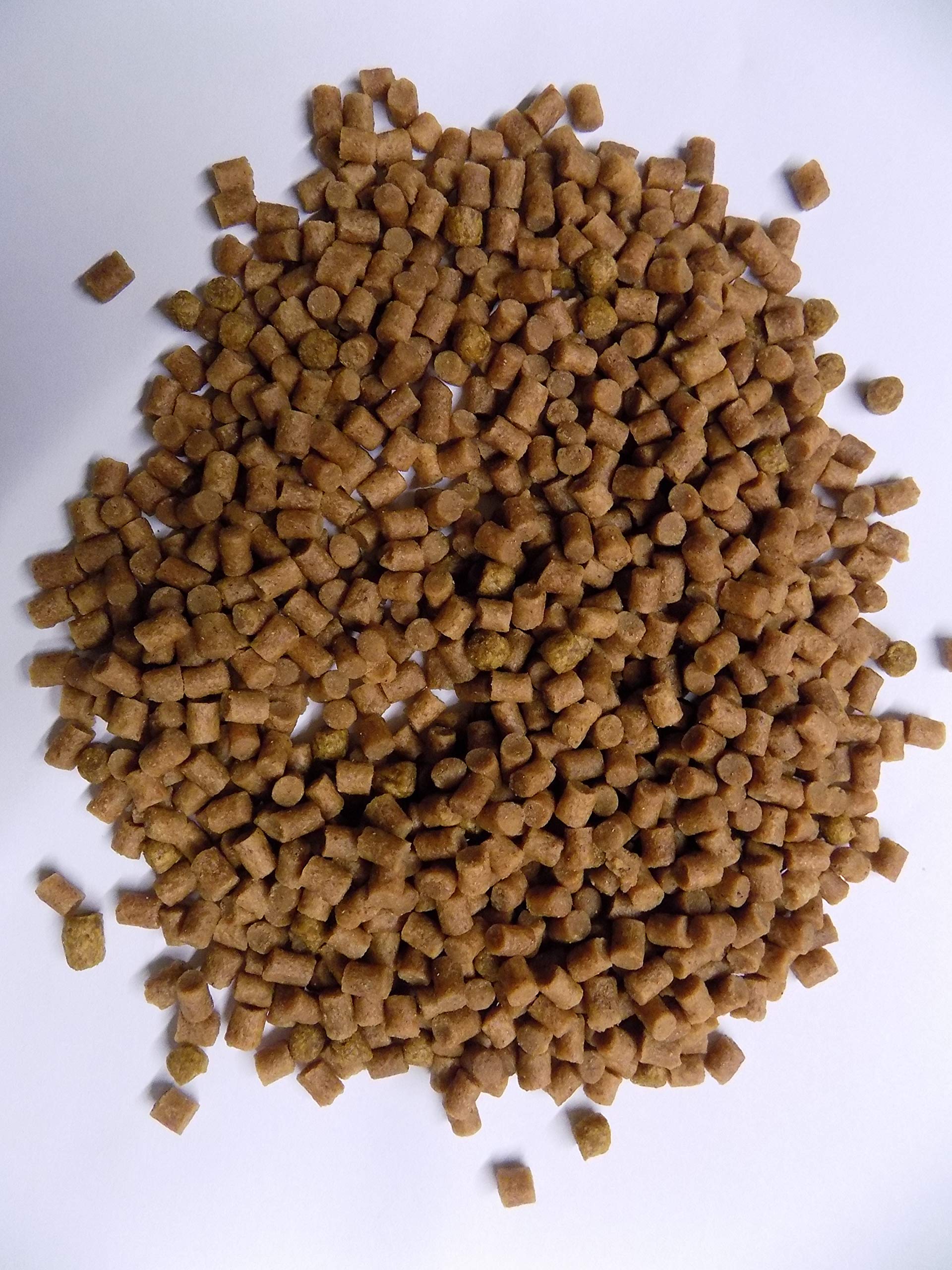 Koidivision Koi SINKING 4mm Professional Growth Health Pellet Pond Fish 1kg - 15kg (1)