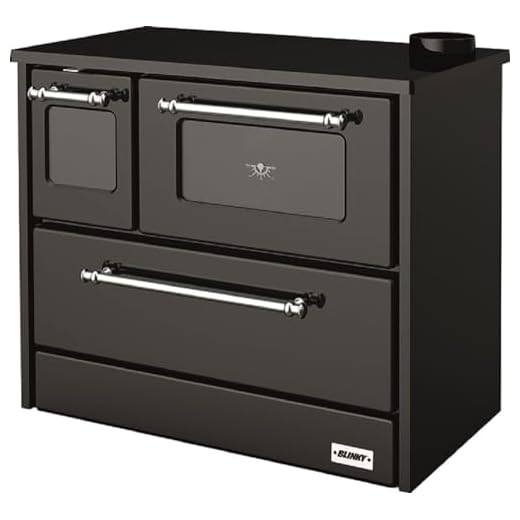 Cocina de leña con horno