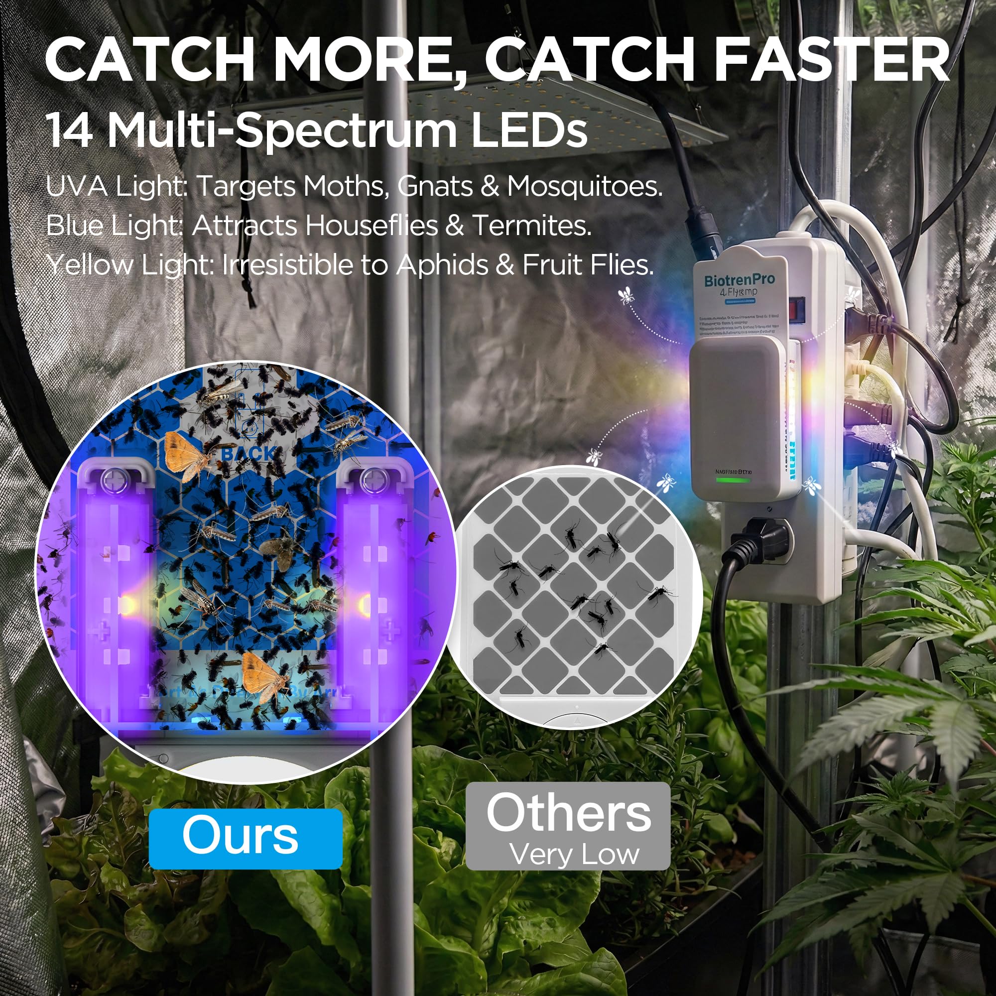 Fruchtfliegenfallen Mückenfallen für Haus drinnen (2 Geräte + 10 Nachfüllungen), 3-in-1 UV + Blau+Gelblicht-Plug-In Insektenfalle, NAT-Killer, fliegende Insektenfalle für Fruchtfliegen, Motten,