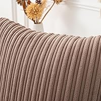 Vista 623 de UGASA - Juego de 2 fundas de almohada de terciopelo a rayas, funda decorativa para cojín con cremallera oculta para el hogar, sofá, dormitorio