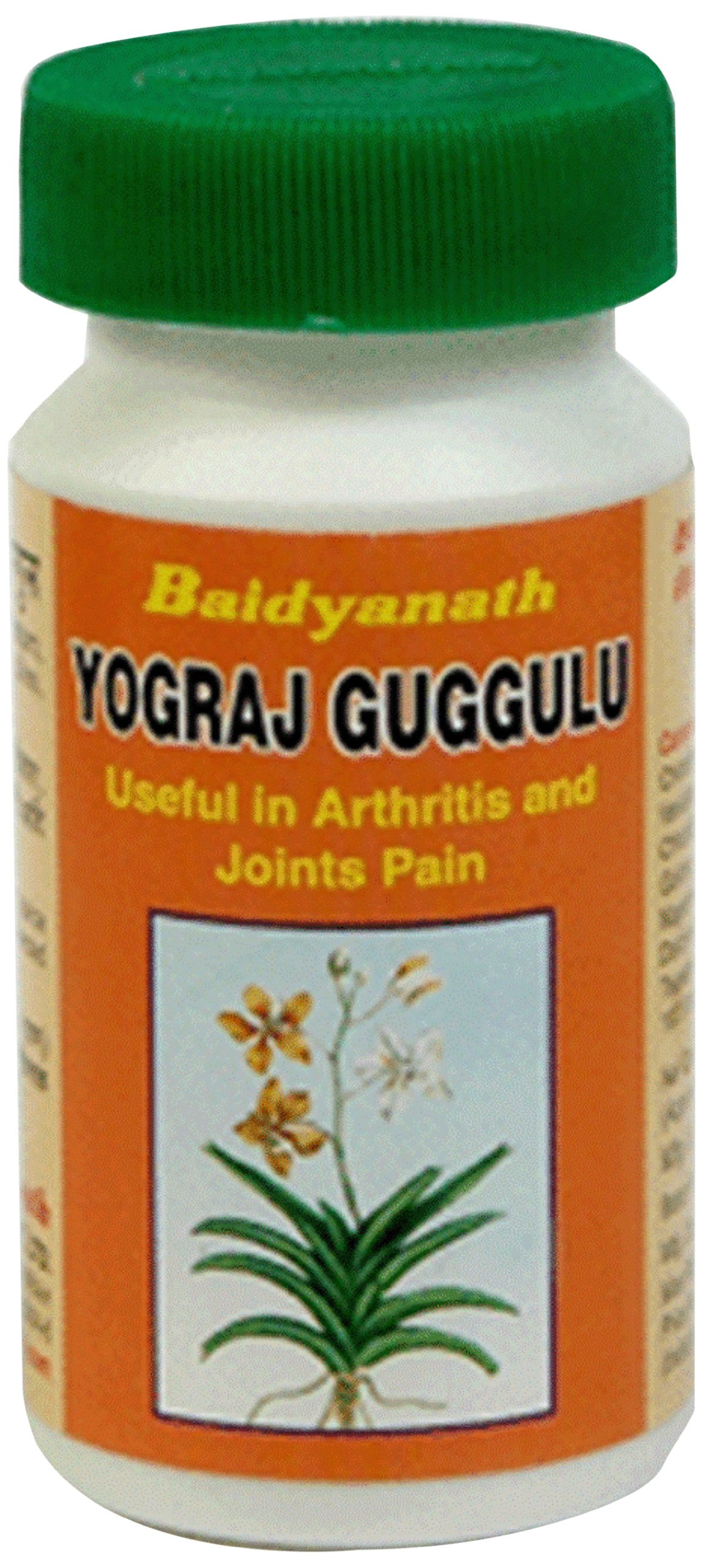 Yograj Guggulu - 40 g