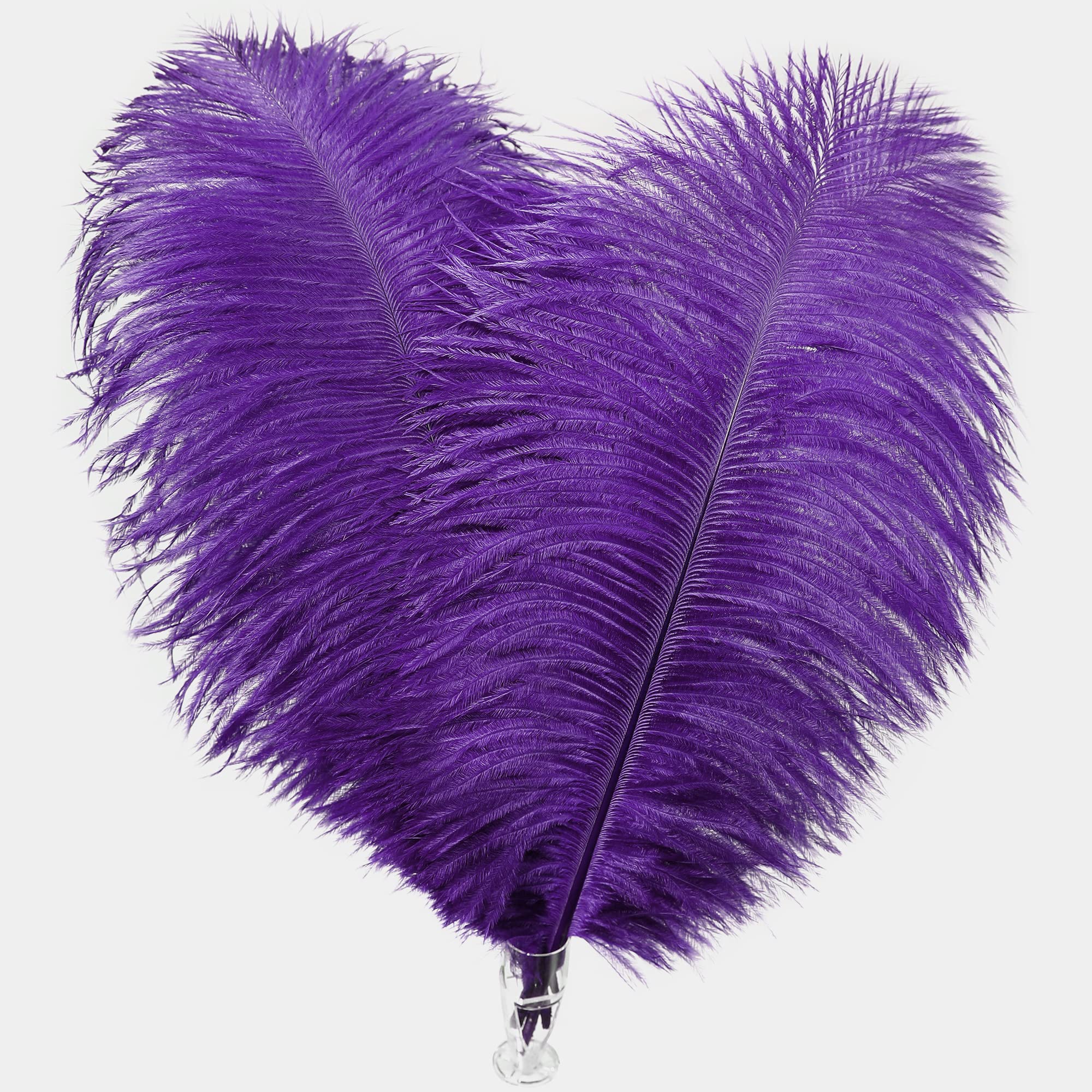 Soarer Purple Long Ostrich Feathers Bulk for Crafting - 18pcs 8-10inch