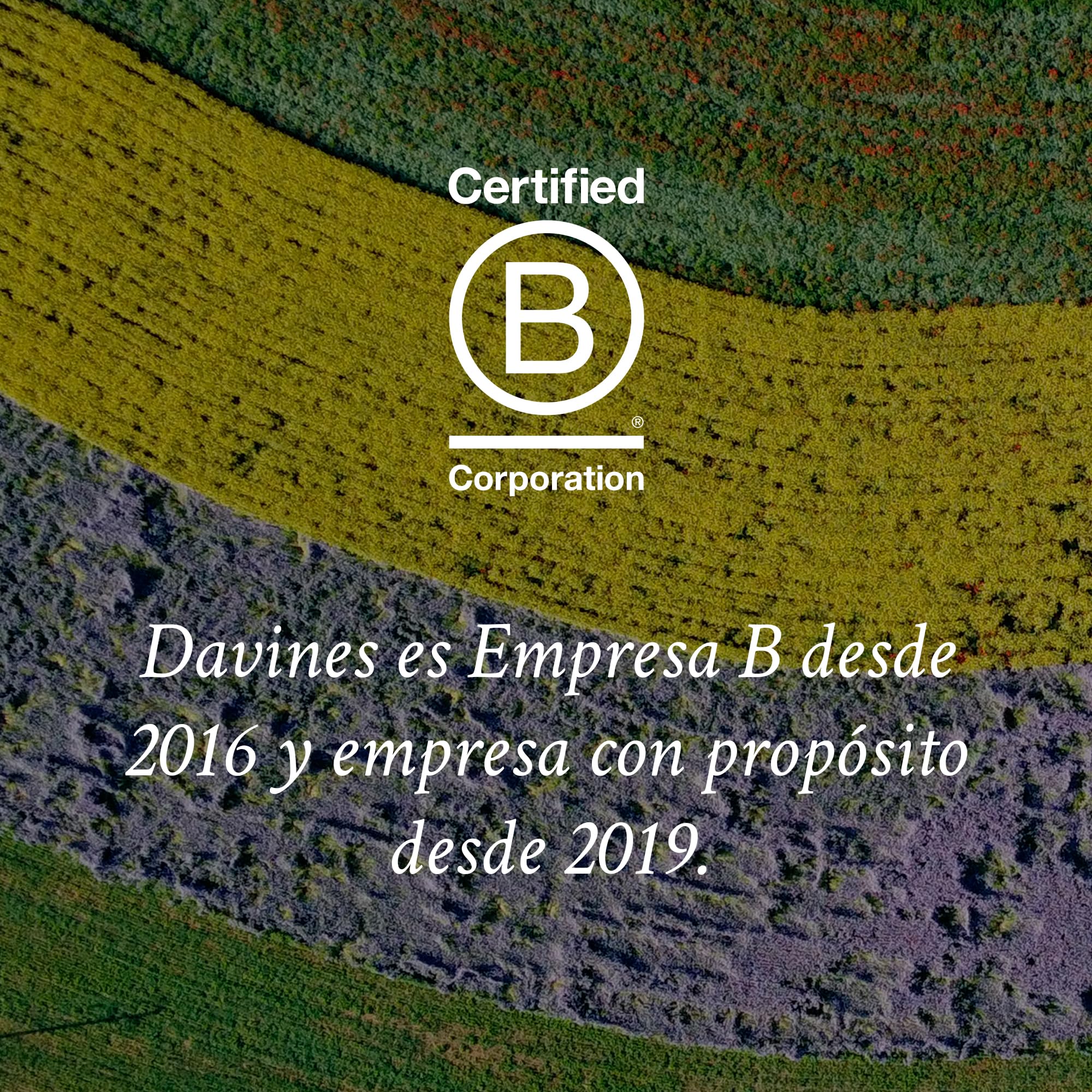Davines, Spray de Texturización en Seco, 250 ml
