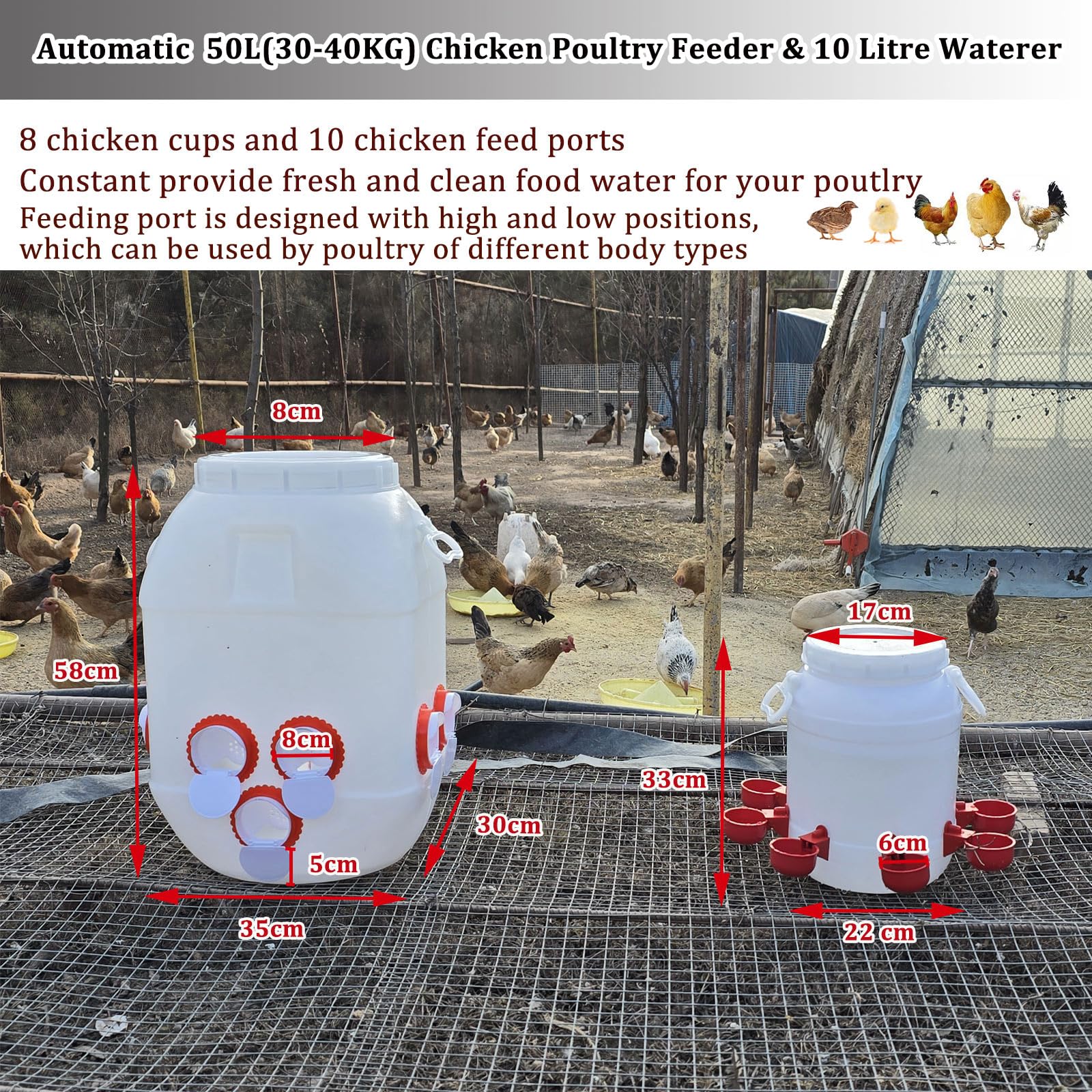 Mangiatoia 50L (30-40 Kg) E Abbeveratoio 10L Per Polli – Set Automatico In Plastica HDPE Con 10 Porte E 8 Tazze, Per Galline, Anatre E Oche